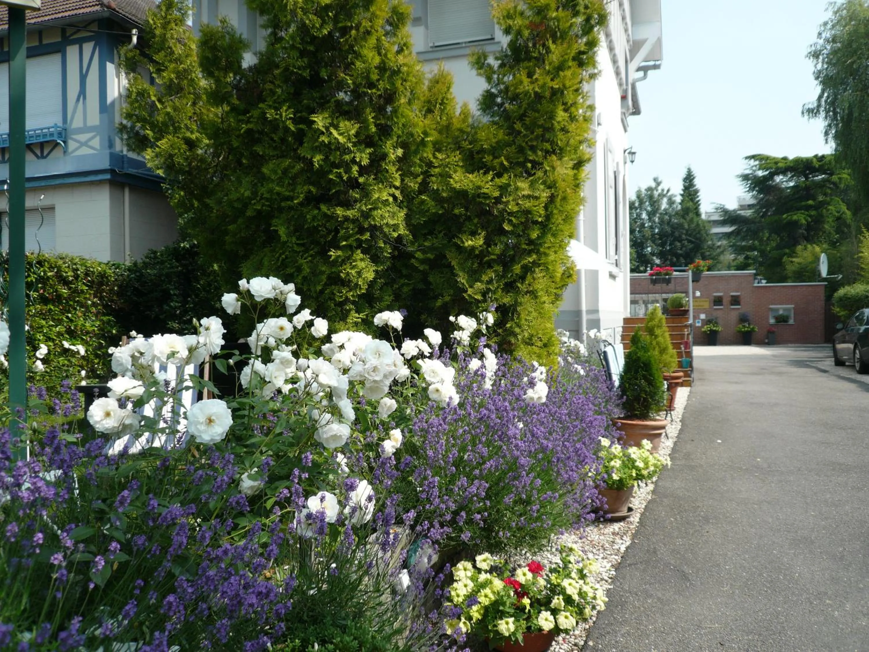 Garden in Hotel Du Croisé