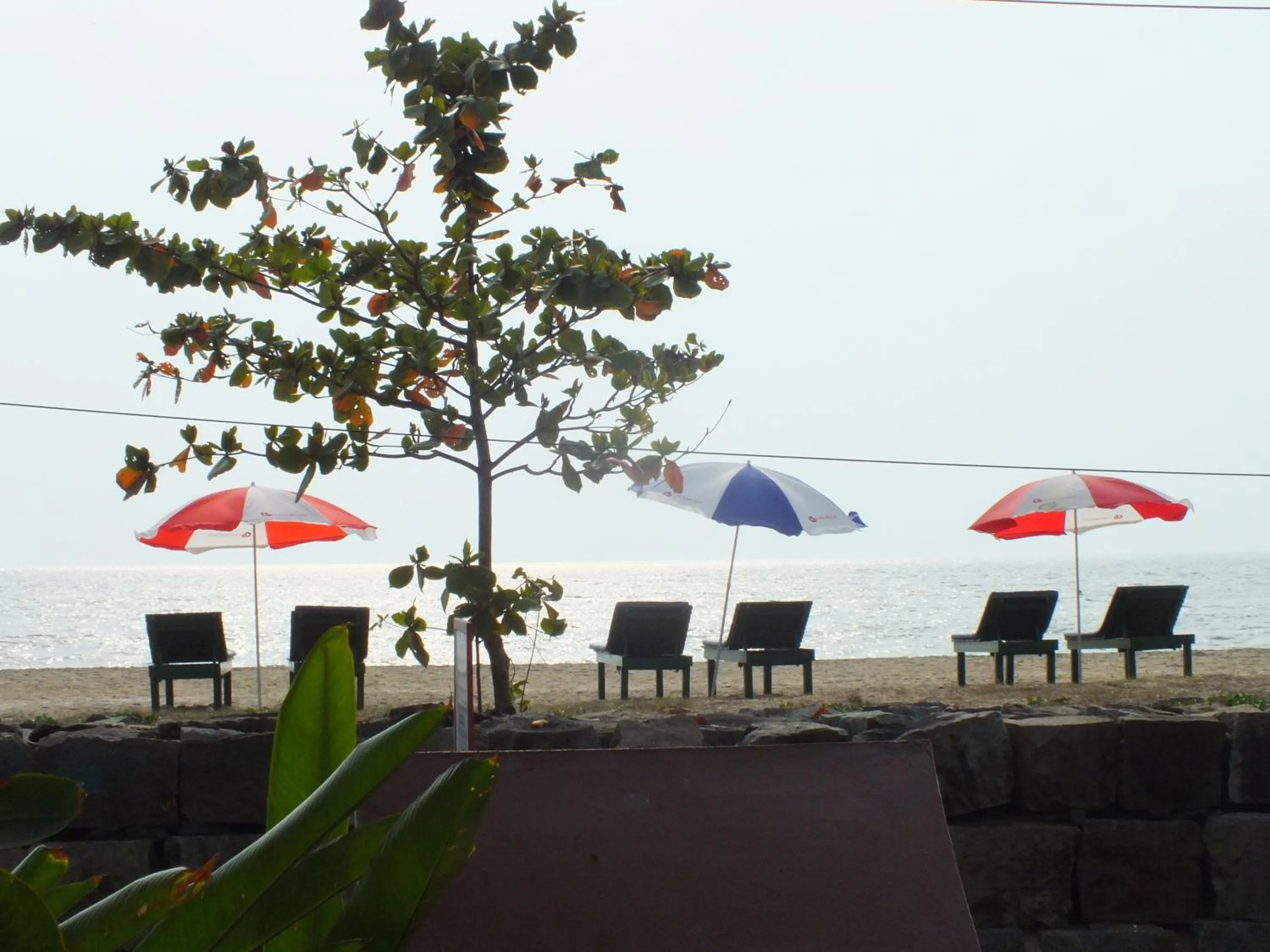 Sea view in Cherai Beach Residency