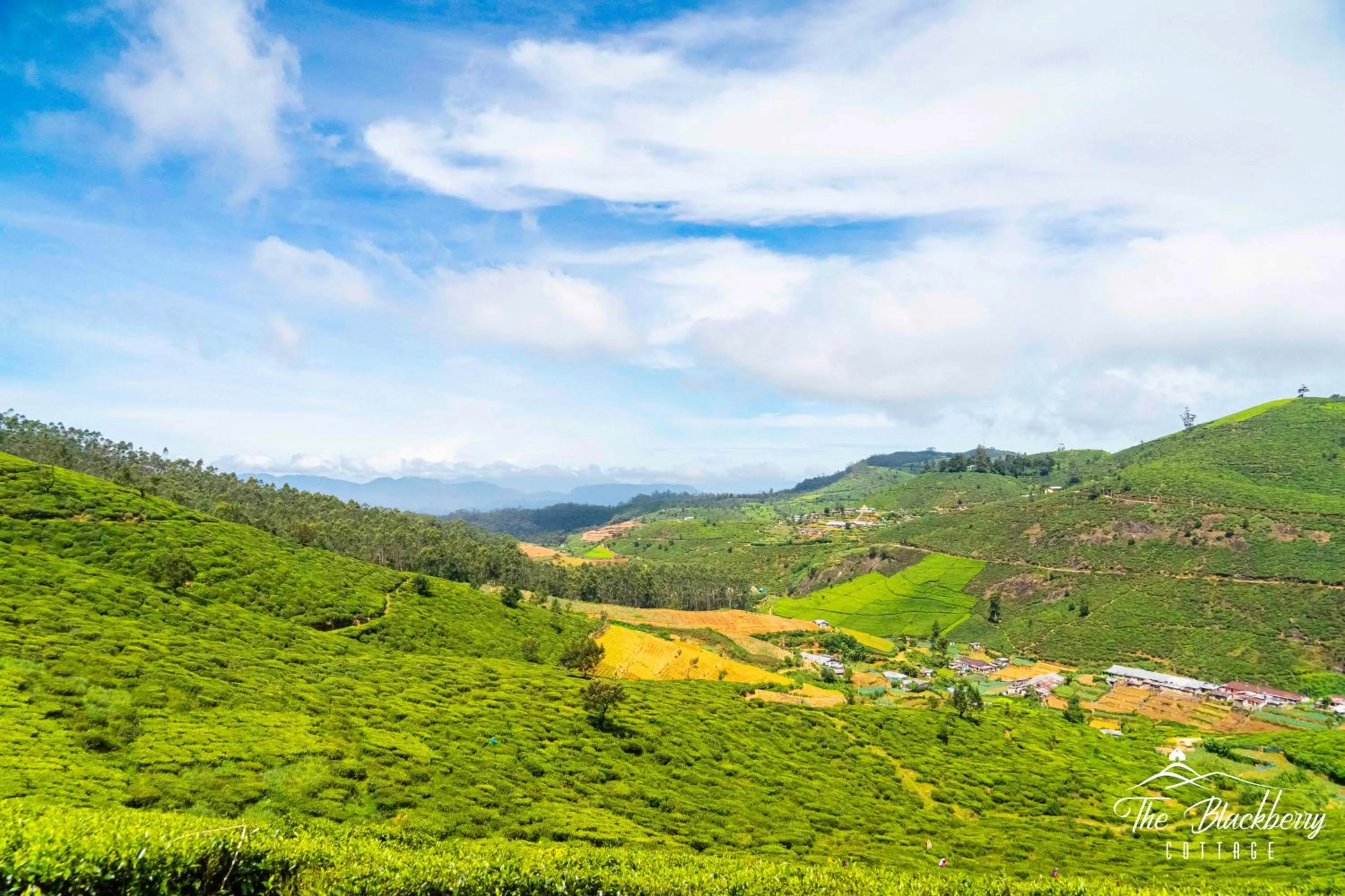 View (from property/room) in The Blackberry Cottage