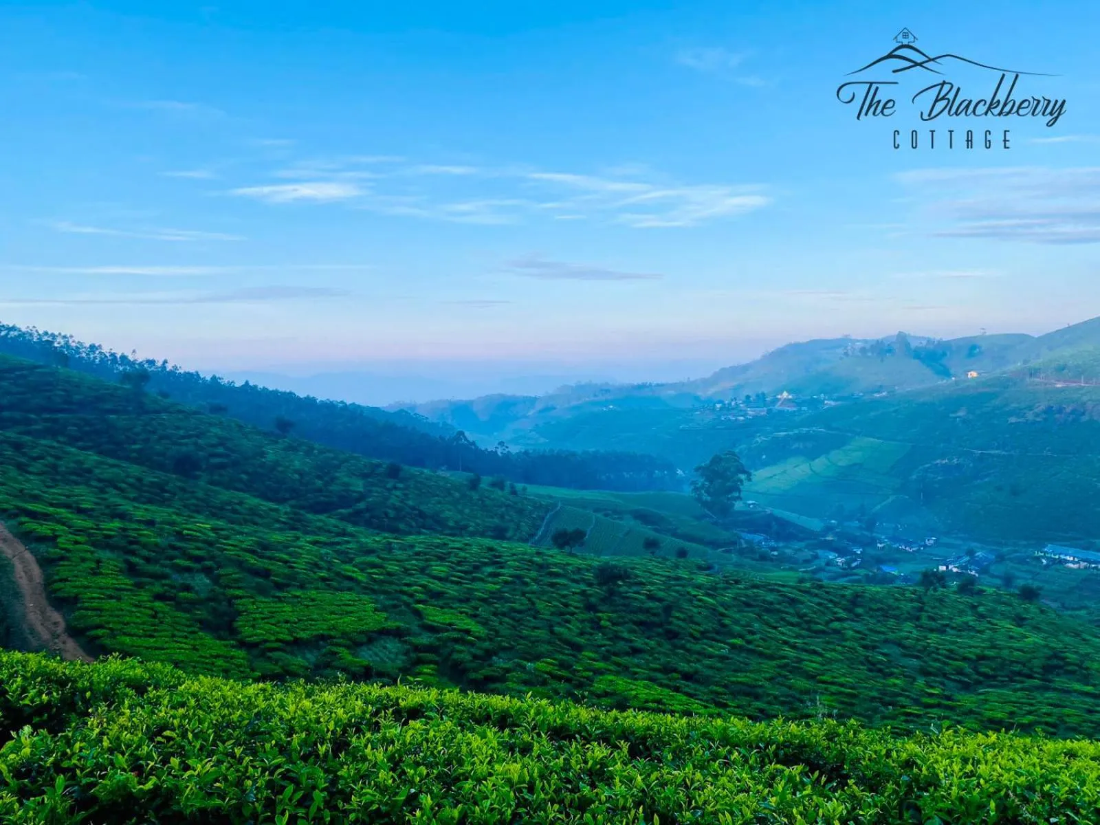 Bird's eye view in The Blackberry Cottage
