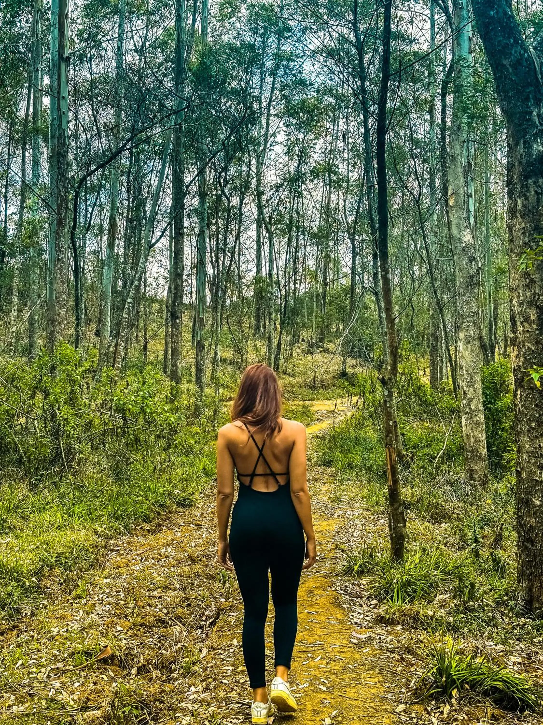 Spring in The Blackberry Cottage