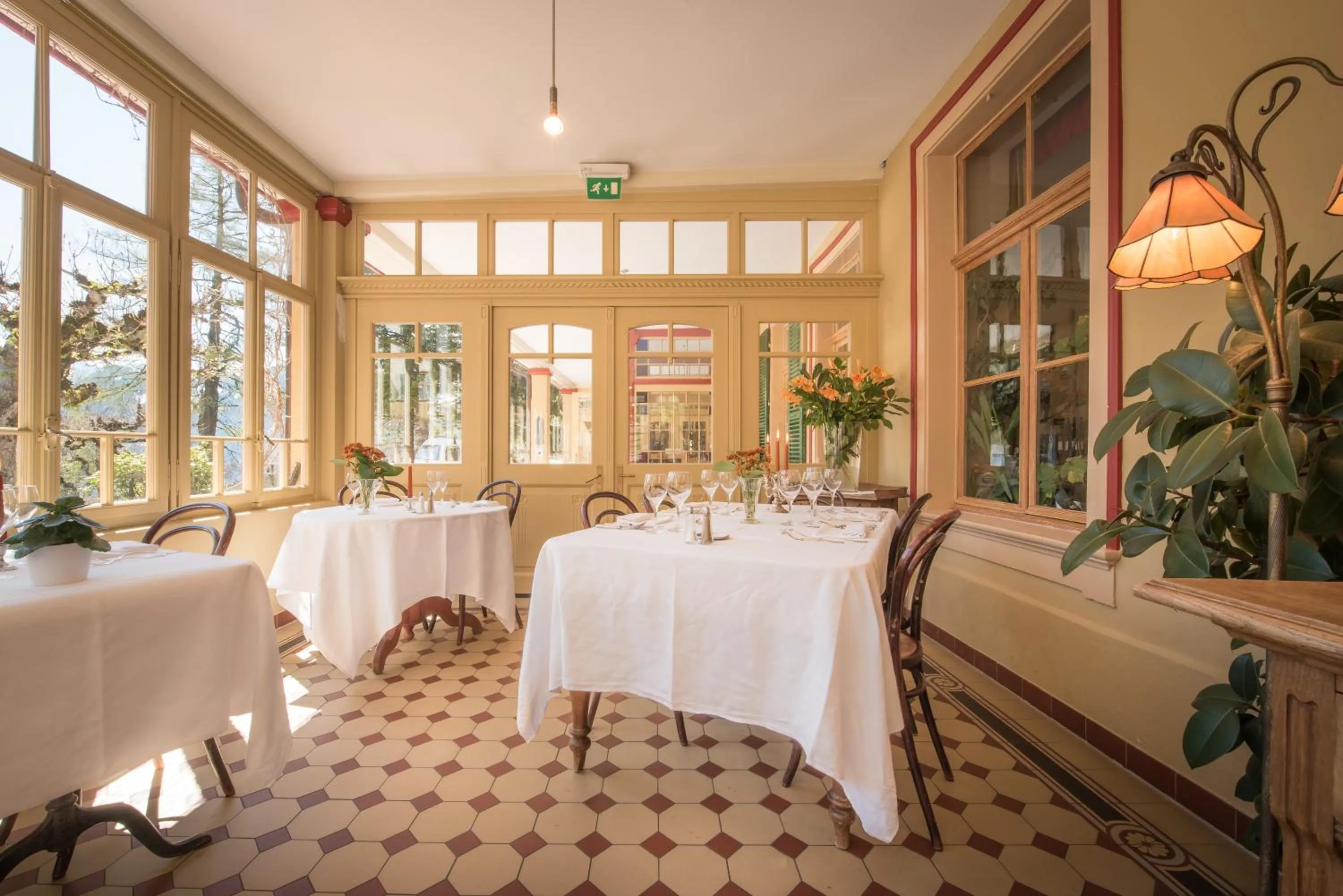 Restaurant/places to eat in Historic Hotel Falken