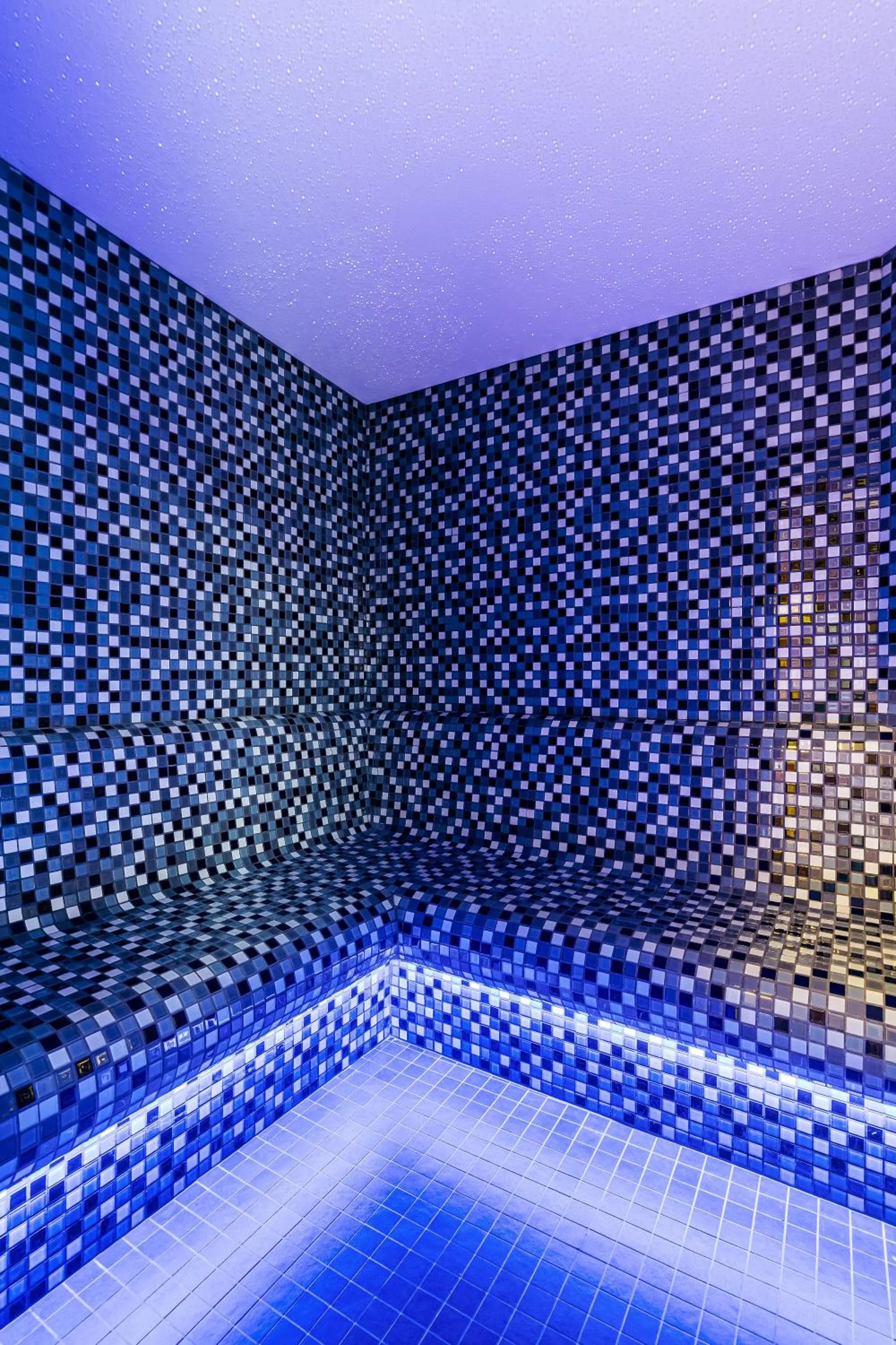 Spa and wellness centre/facilities in Hotel Savannah