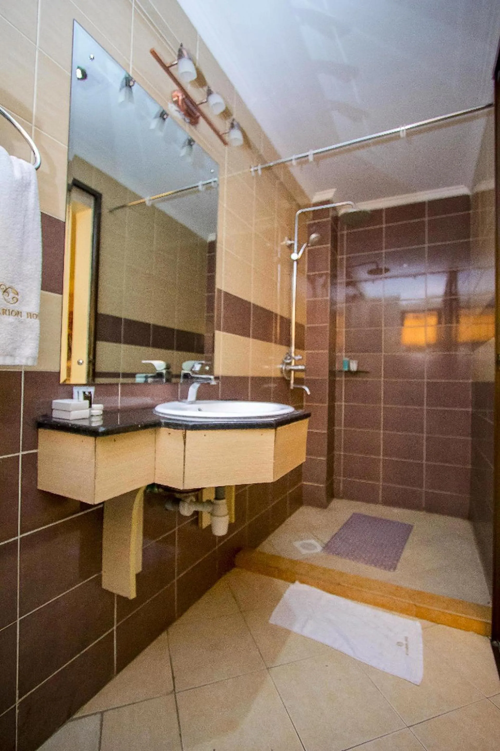 Shower in The Clarion Hotel