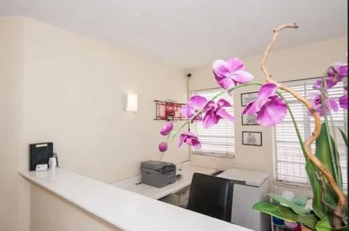 Island House South Beach