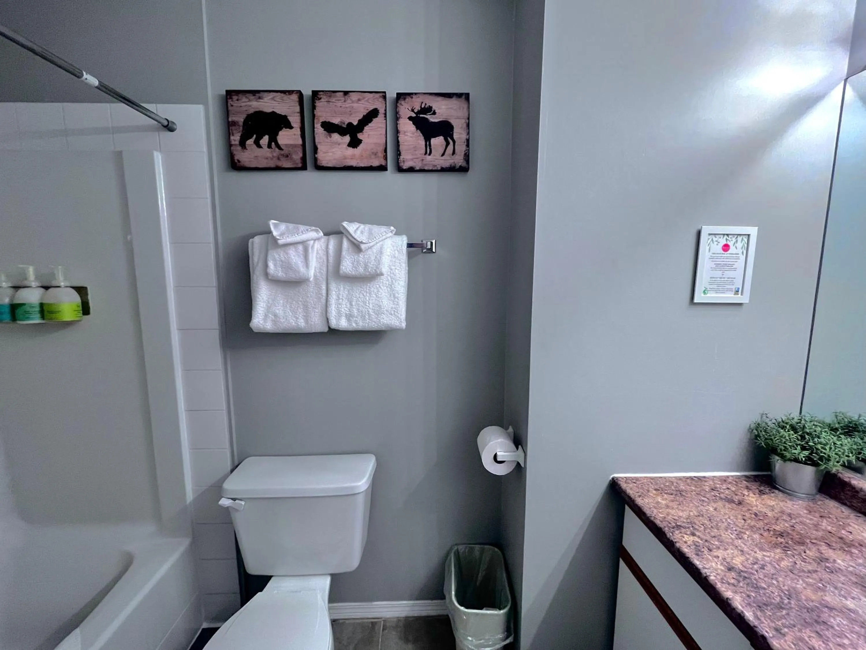 Toilet in Canadian Rockies Chalets by Trilink - 2 & 3 Bedroom Condos - Self Check-In - Walking Distance to Downtown - Free Parking - Pet-Friendly - No AC