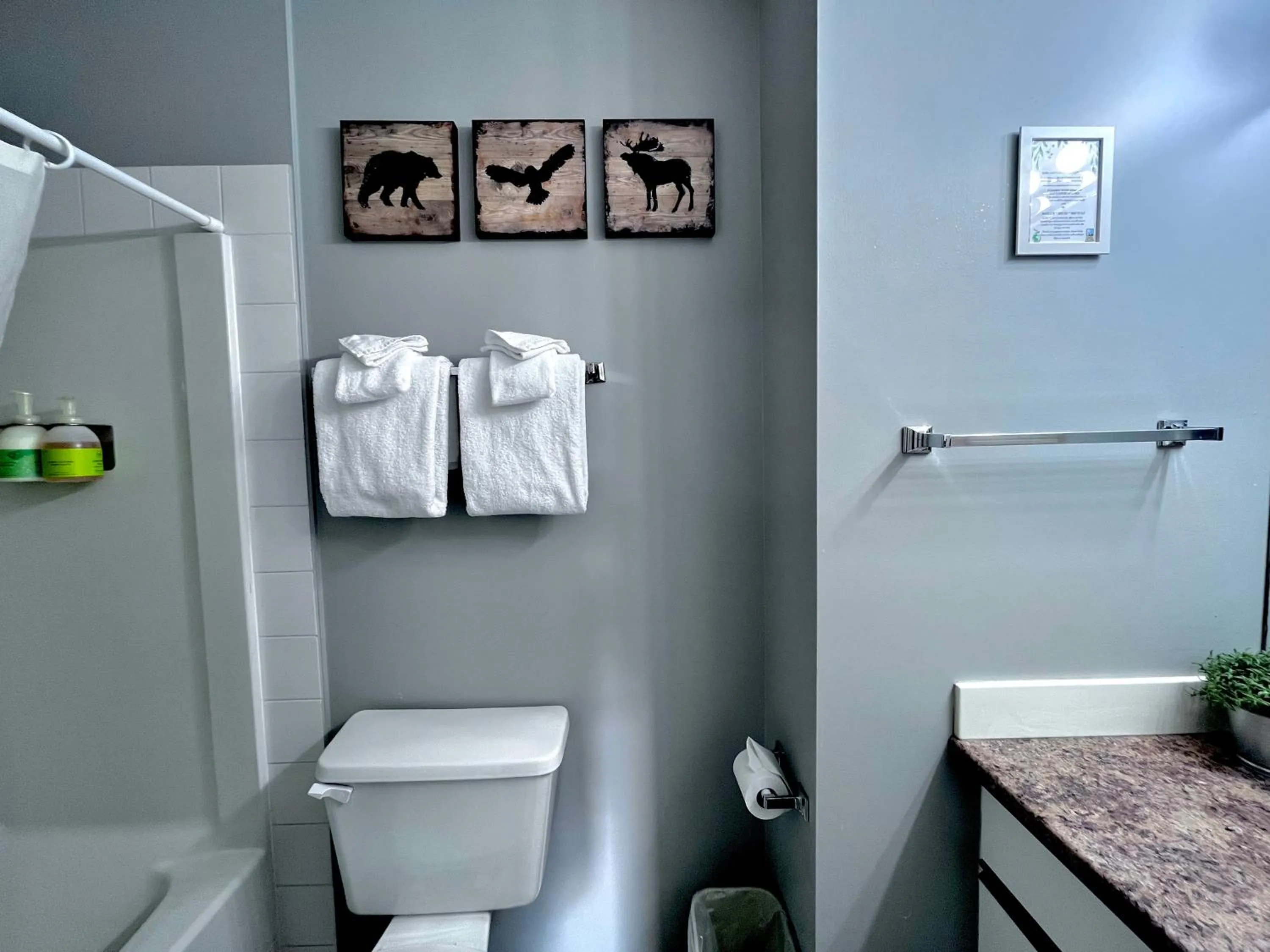 Bathroom in Canadian Rockies Chalets by Trilink - 2 & 3 Bedroom Condos - Self Check-In - Walking Distance to Downtown - Free Parking - Pet-Friendly - No AC