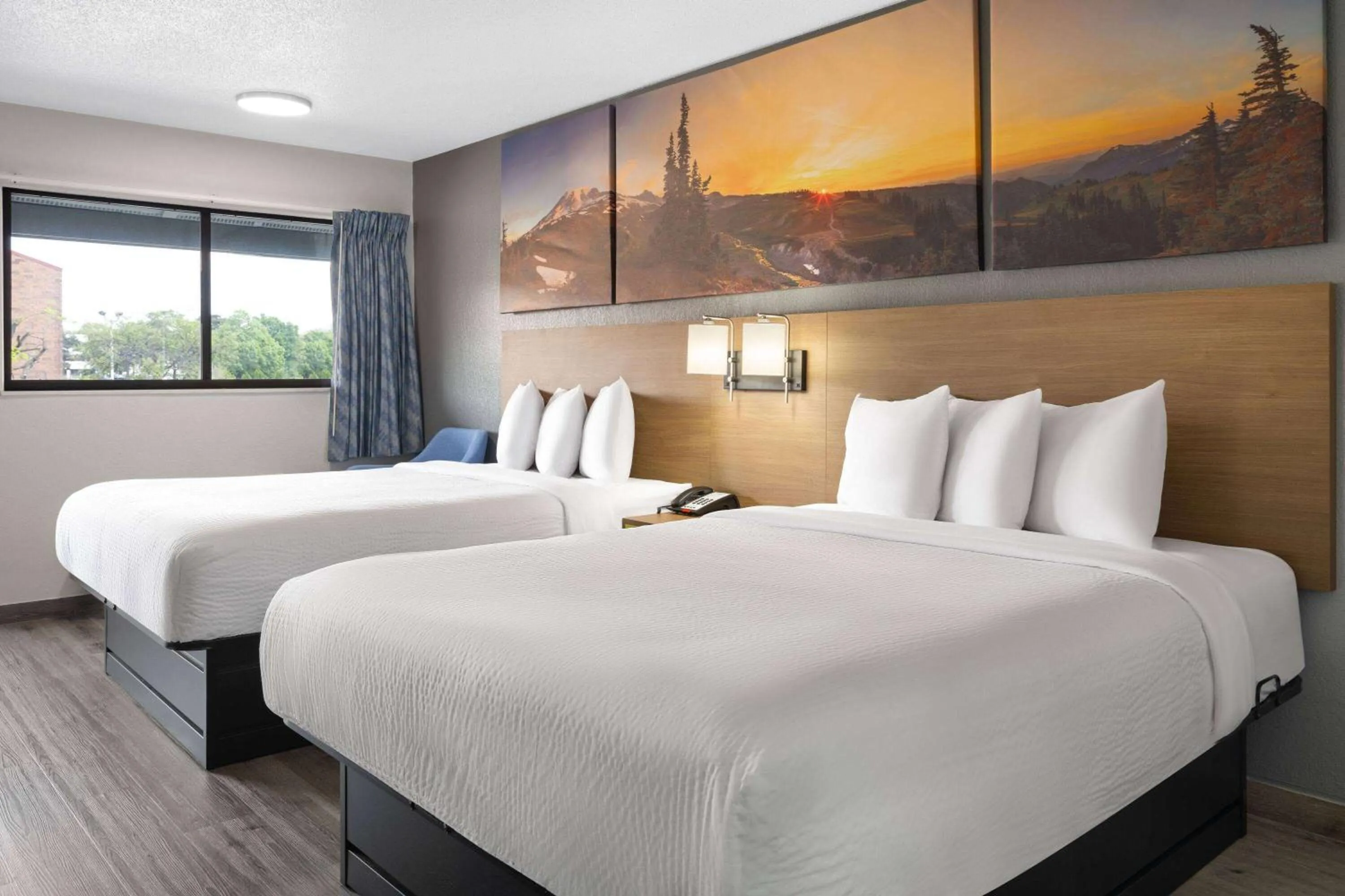 Photo of the whole room, Bed in scarlet inn