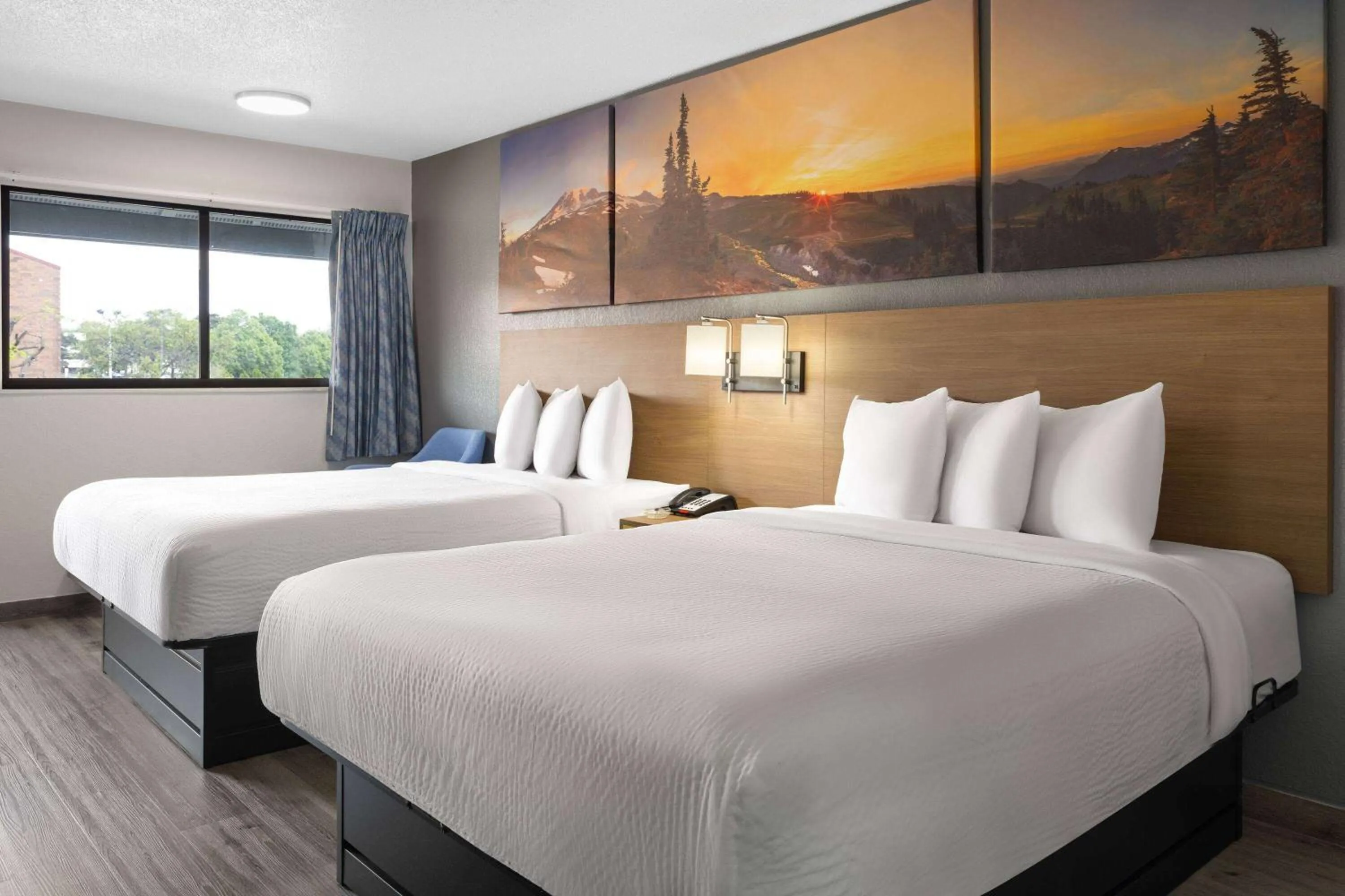 Photo of the whole room, Bed in scarlet inn