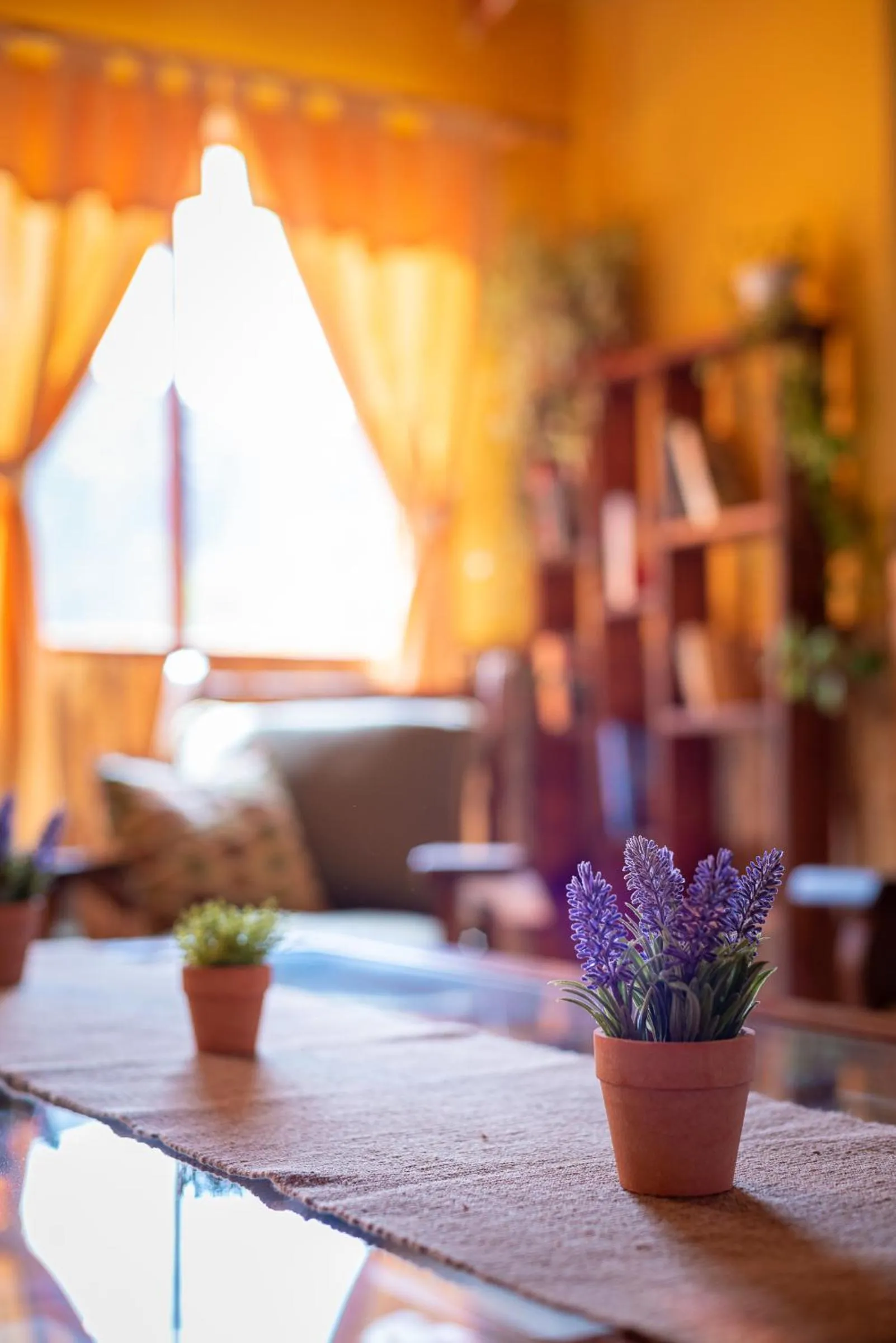 Living room in Hosteria LOS ÑIRES