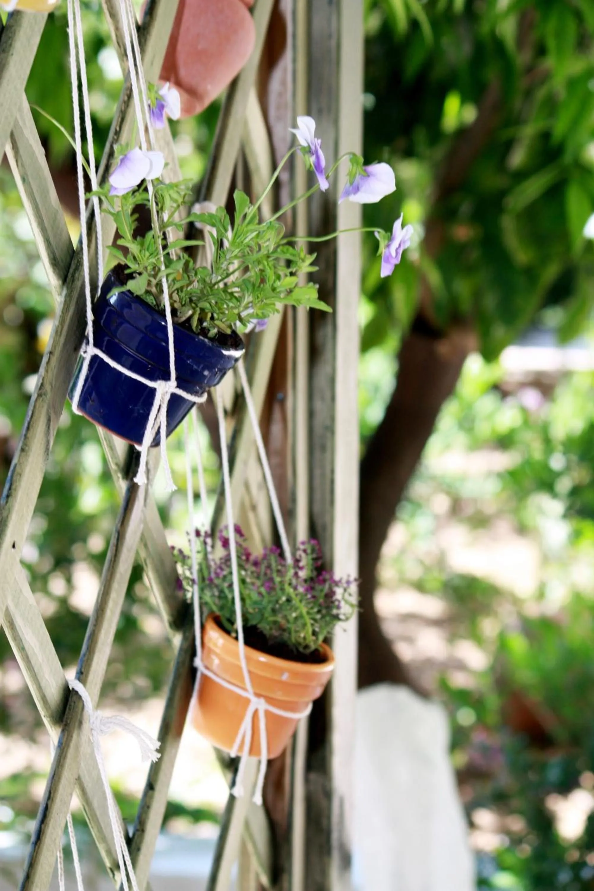 Garden in Oasis Apartments