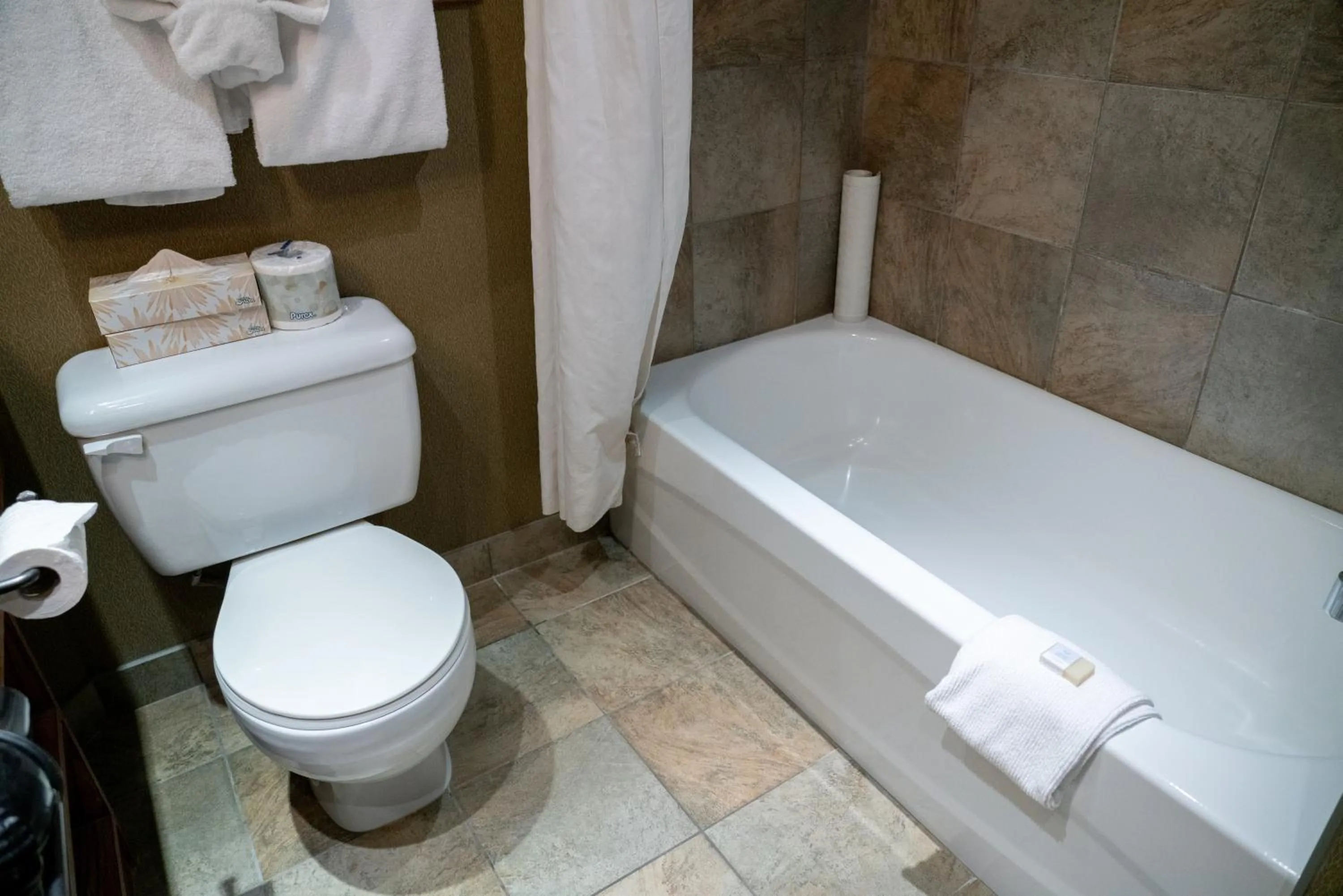 Bathroom in Banff Caribou Lodge and Spa