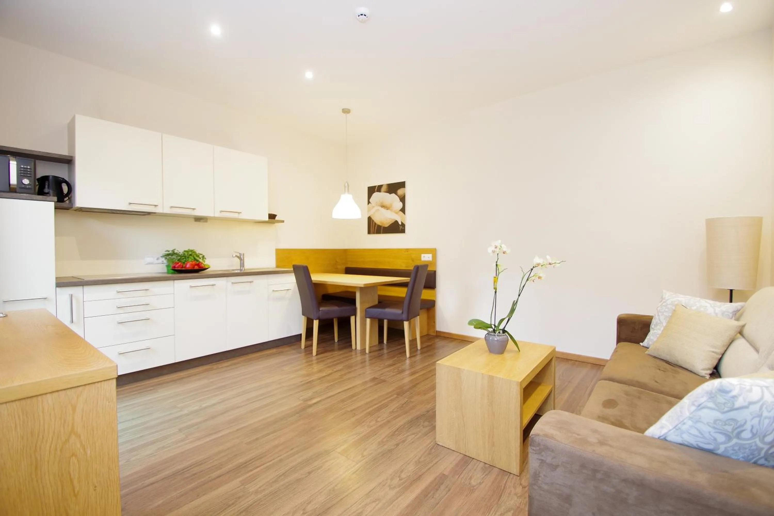 Kitchen or kitchenette in Apartment Hotel Christine