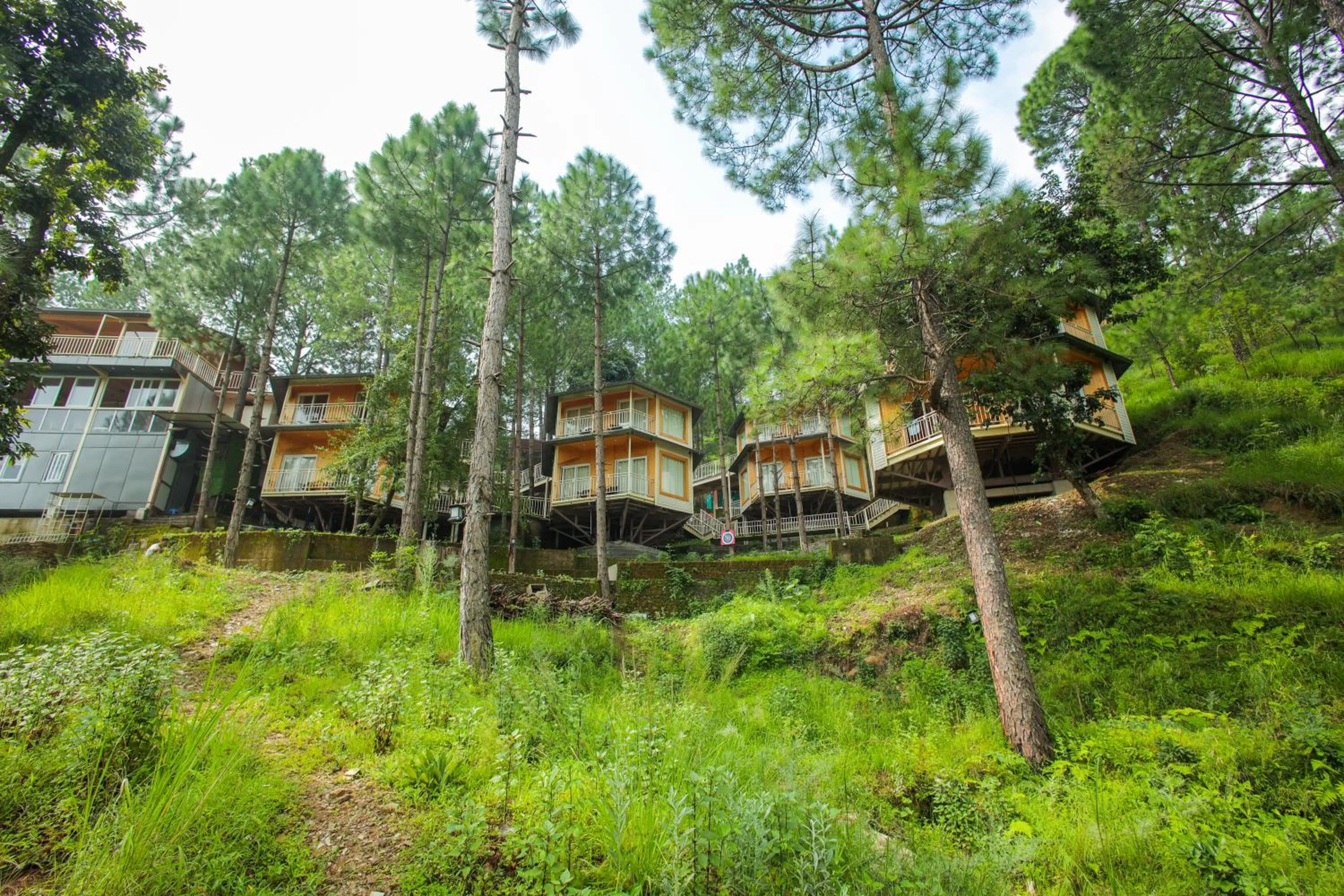 Property building in The Woods Retreat