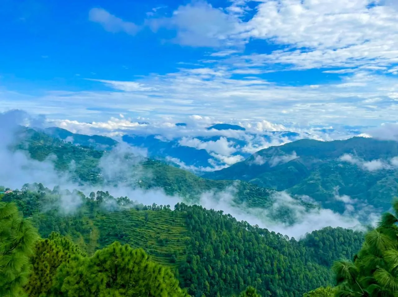 View (from property/room) in The Woods Retreat