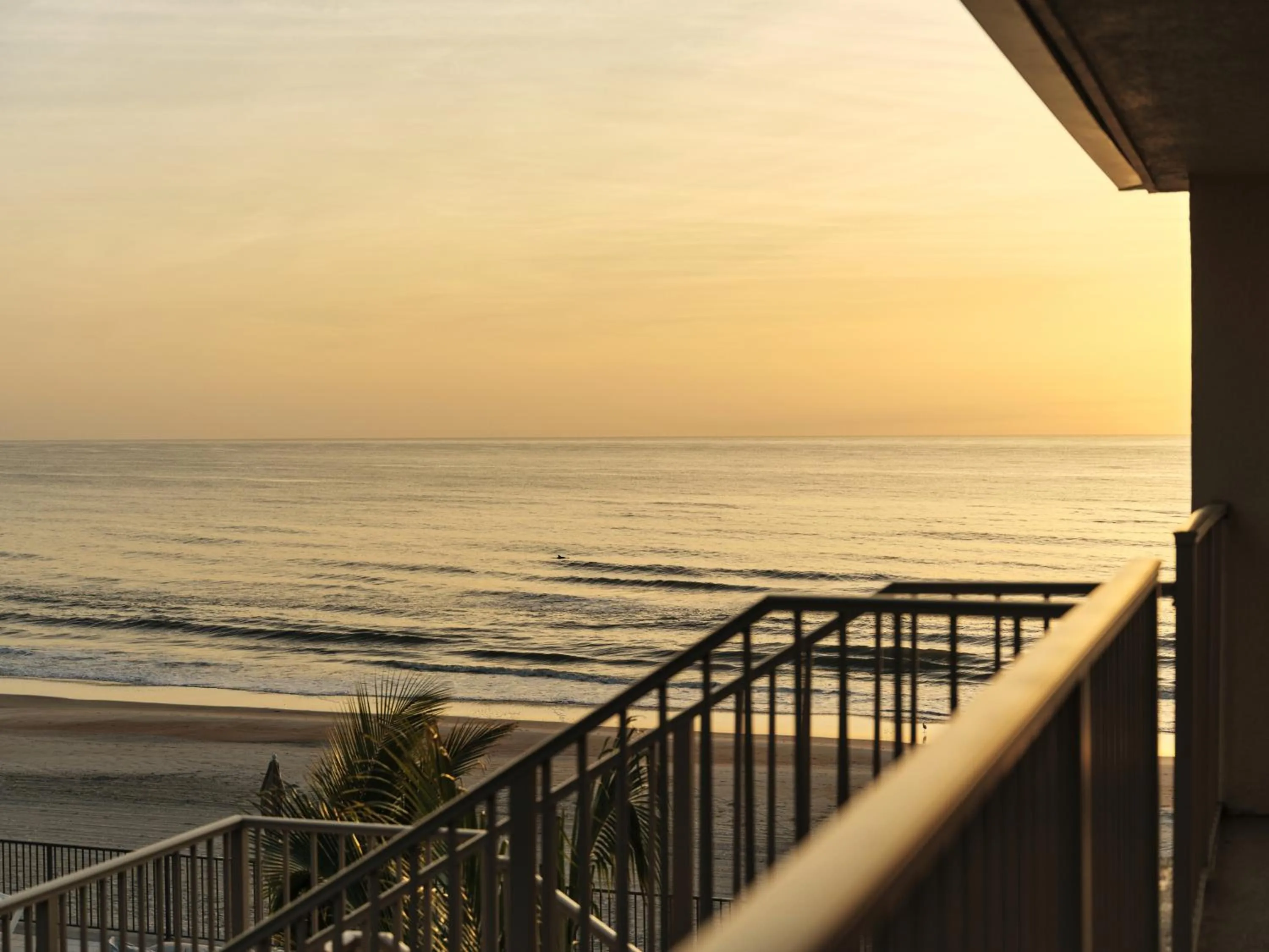 View (from property/room) in Ambros Daytona