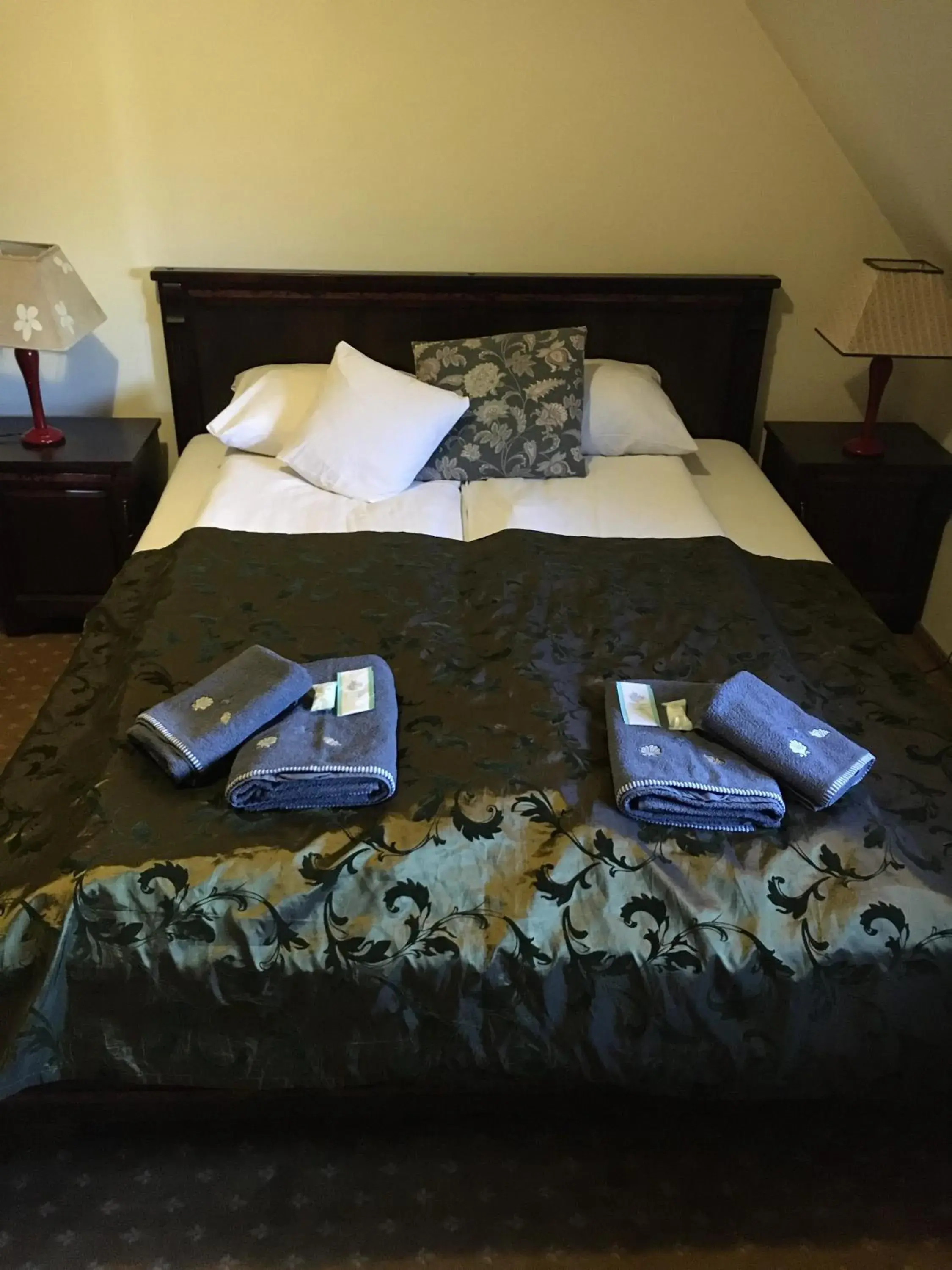 Double Room - single occupancy in Dworska Elektrownia Double Room - single occupancy in Dworska Elektrownia