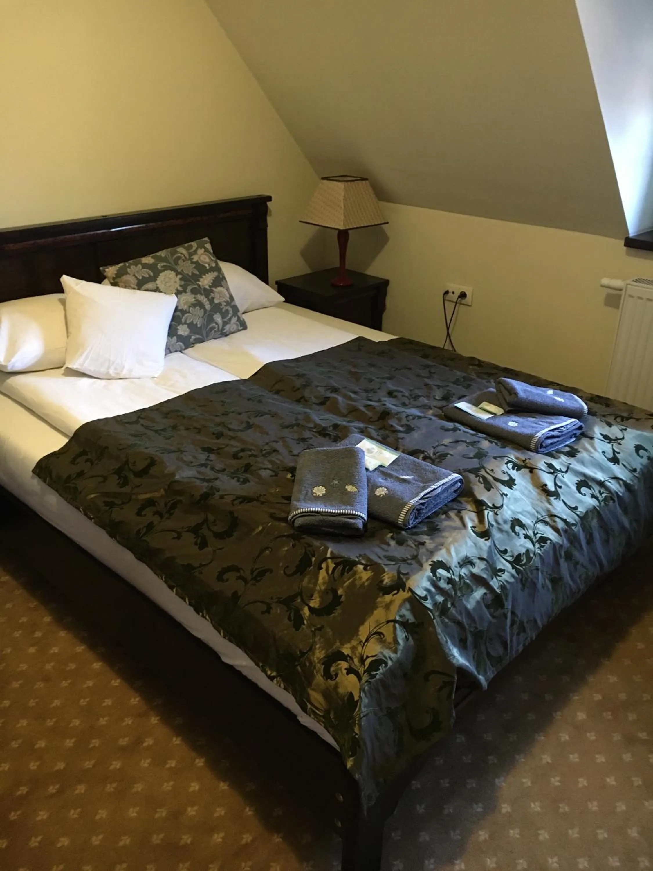 Photo of the whole room, Bed in Dworska Elektrownia