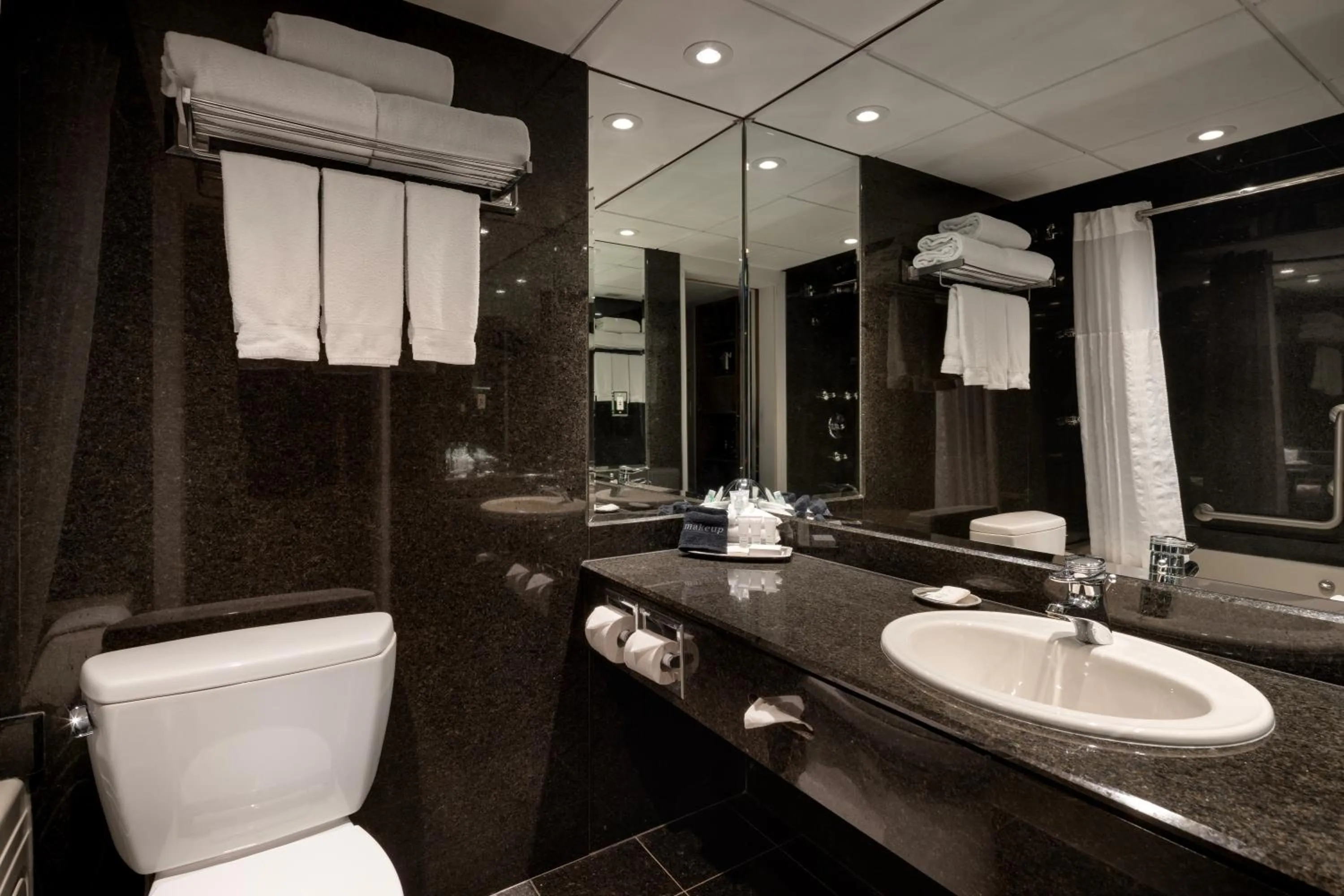 Bathroom in Banff Park Lodge