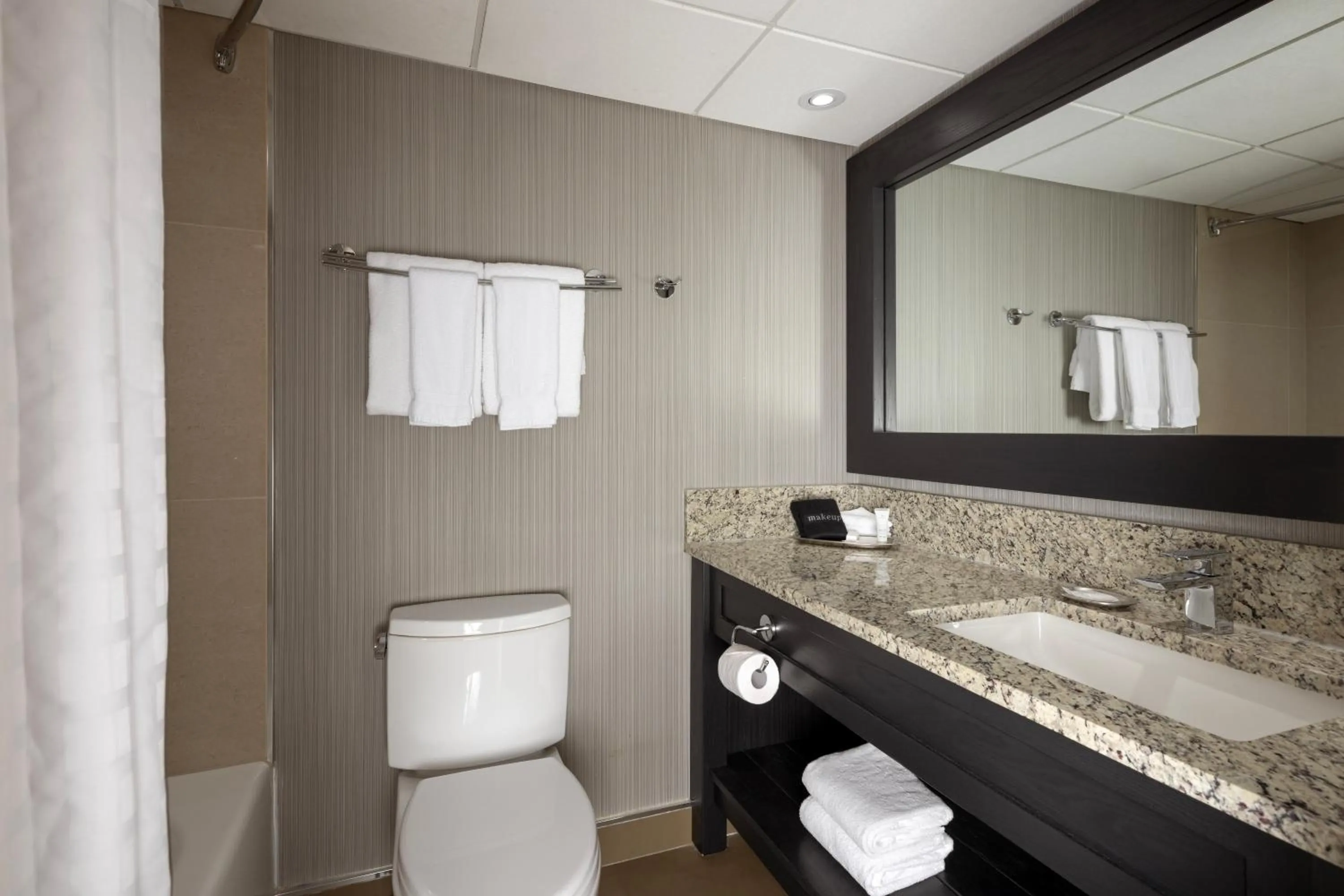 Bathroom in Banff Park Lodge