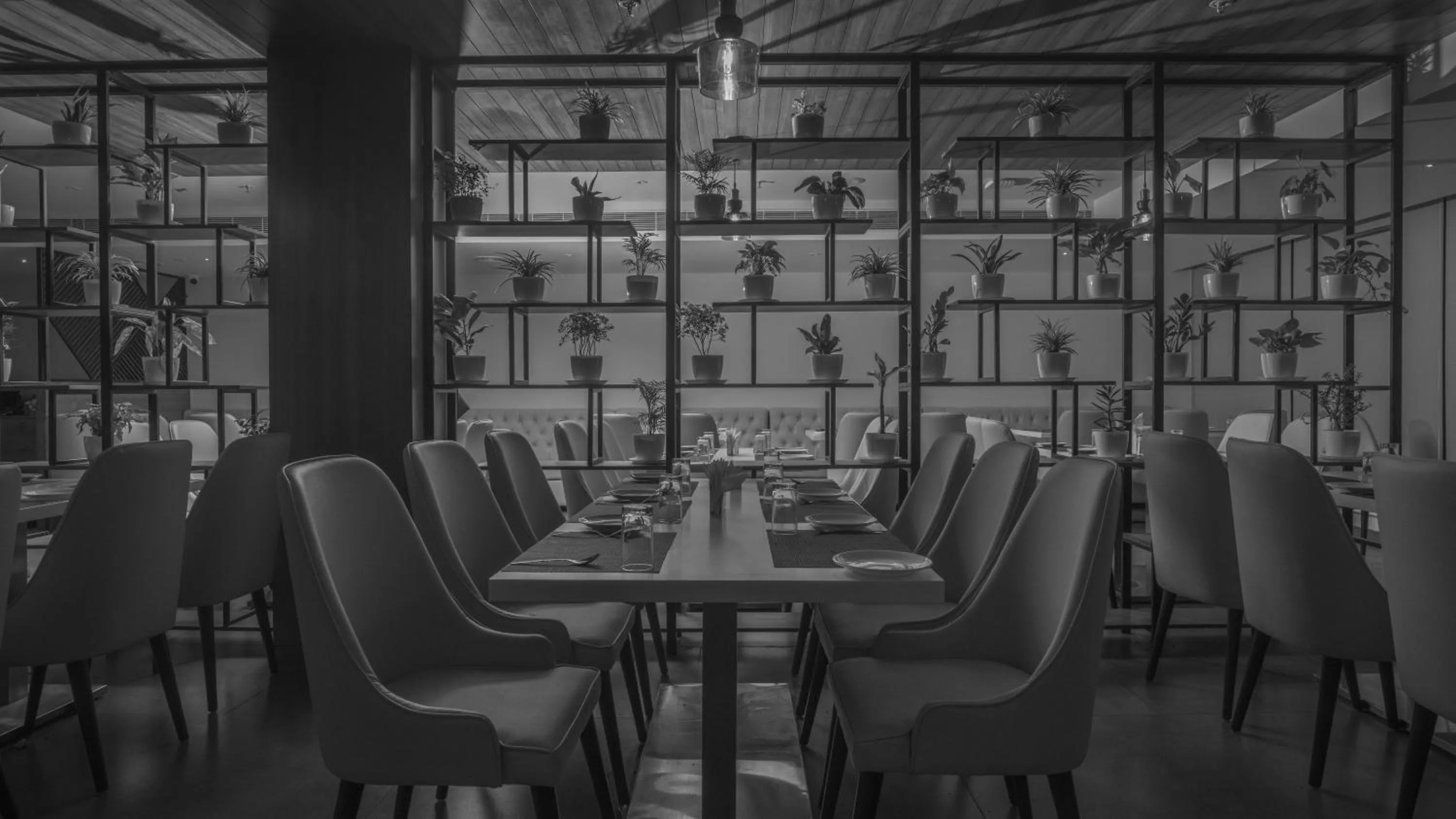 Restaurant/places to eat in Northway Hotel