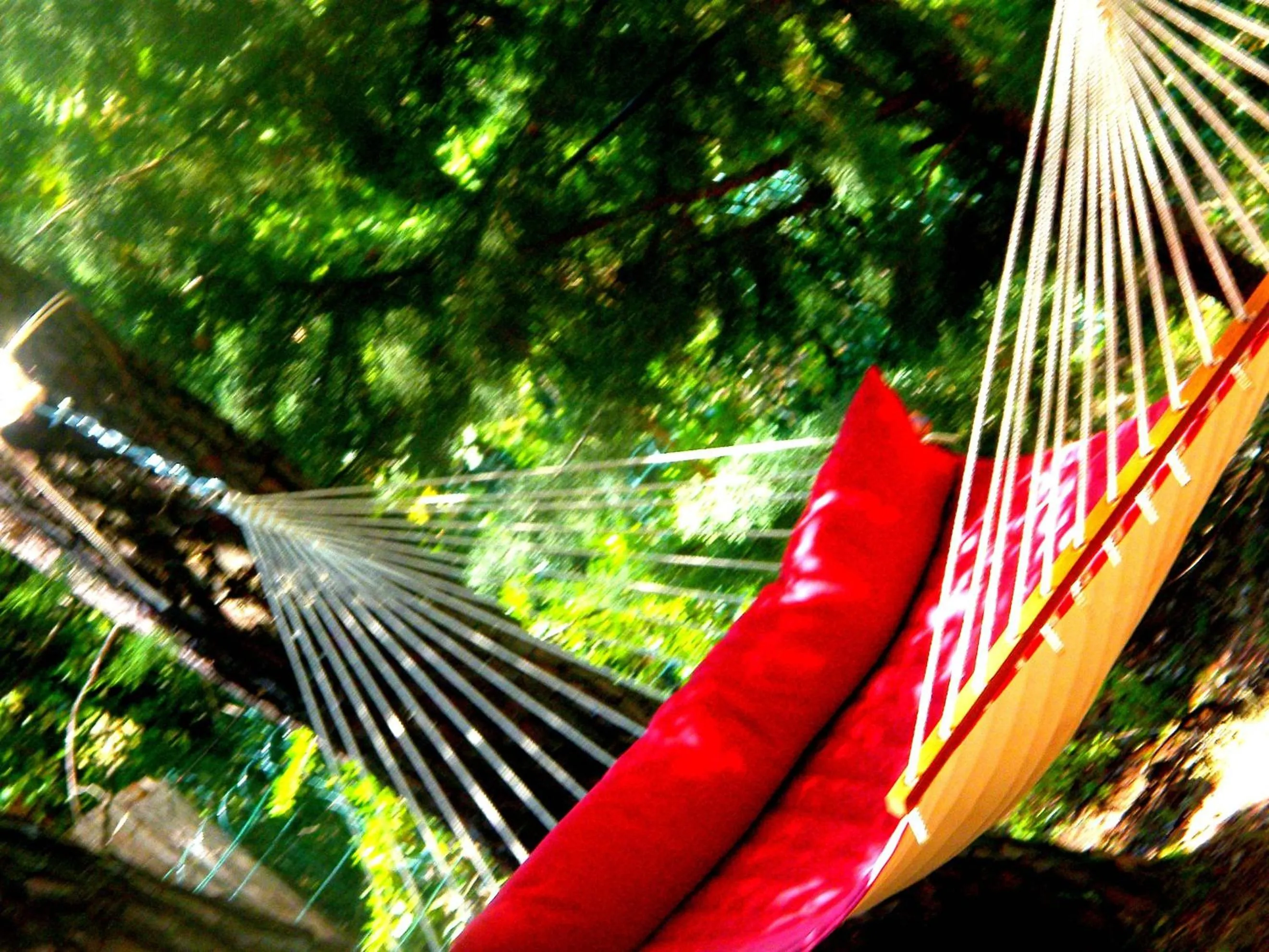Garden in Logis Hôtel restaurant des Pins