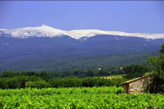 Area and facilities in Logis Hôtel restaurant des Pins