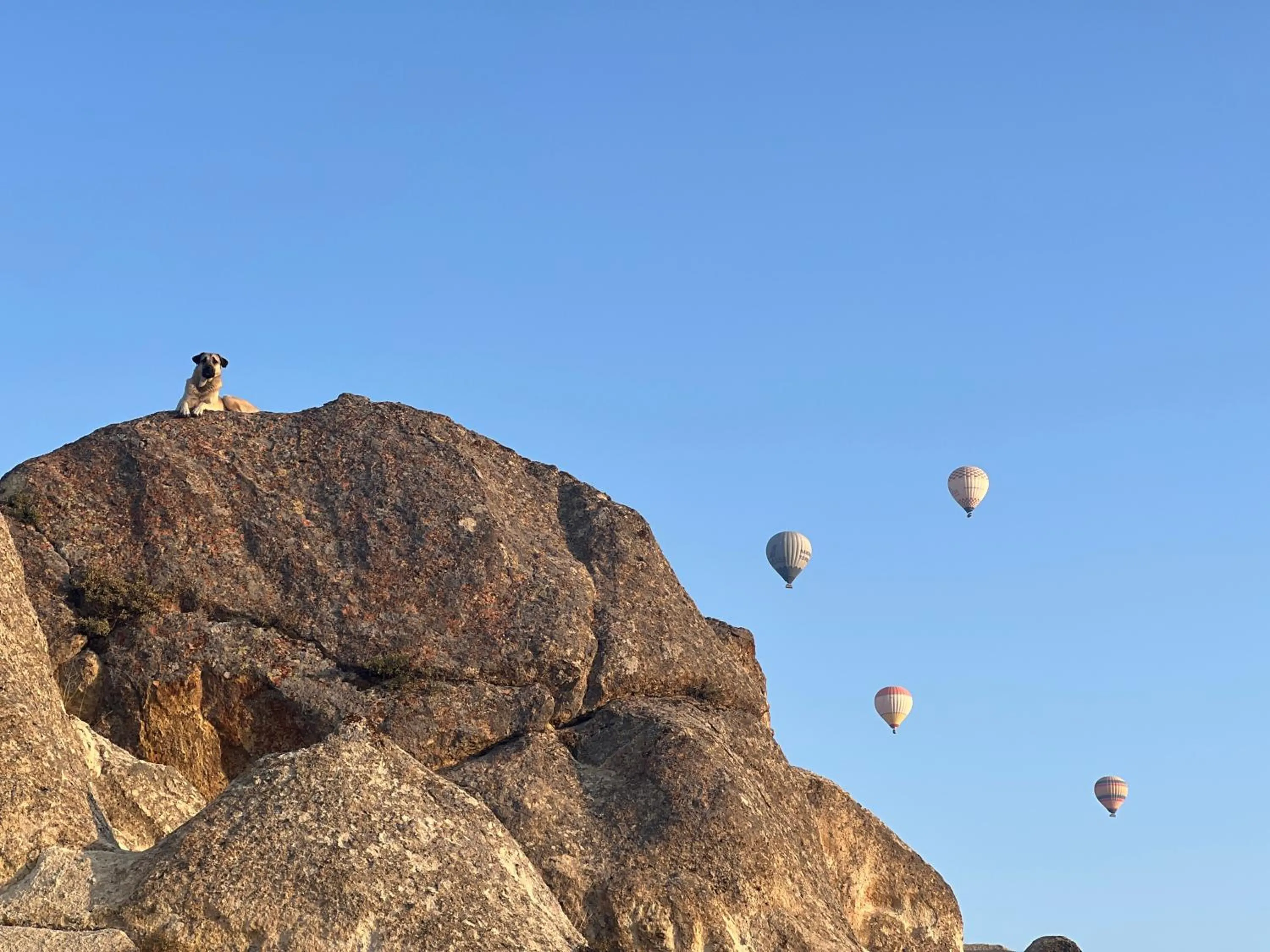View (from property/room) in Tatlı Kaya Otel