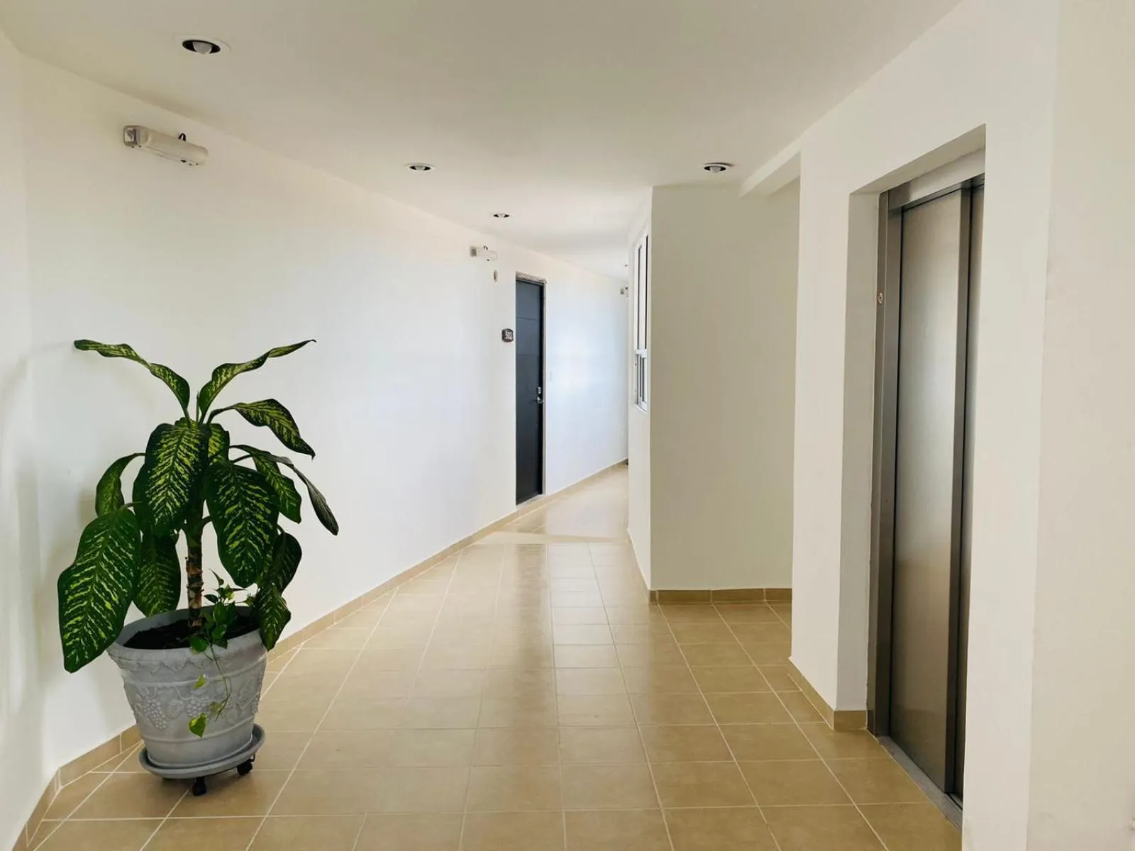 Property building in Apartment for rent in Cancun