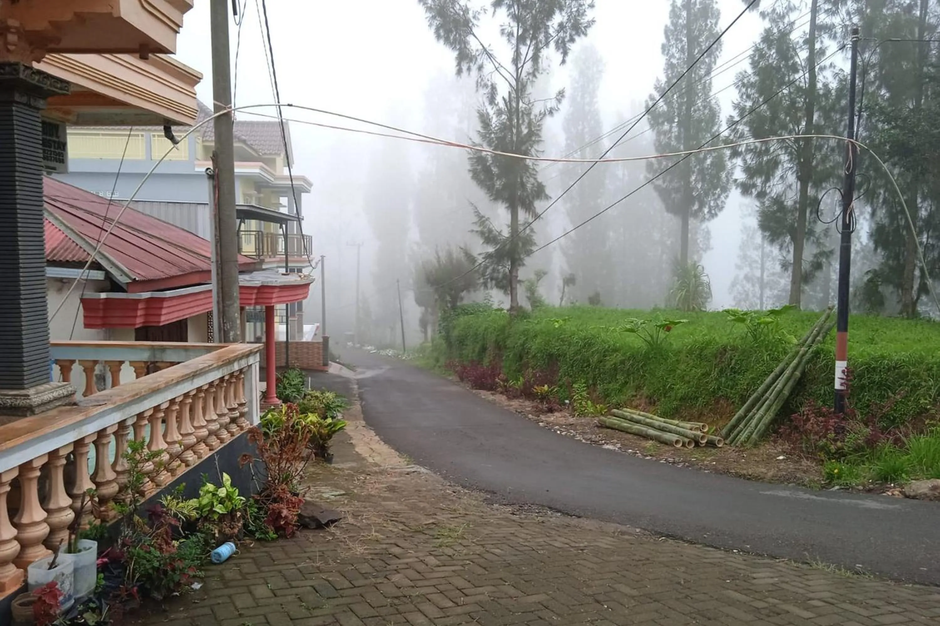 Street view in Gebby Homestay Bromo RedPartner