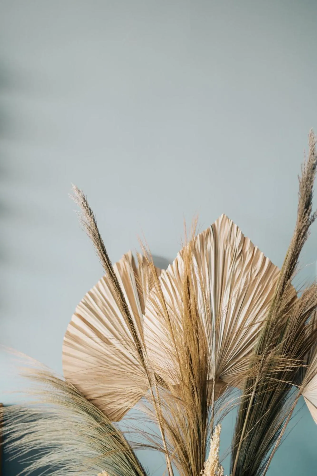 Other in Bestah Coliving