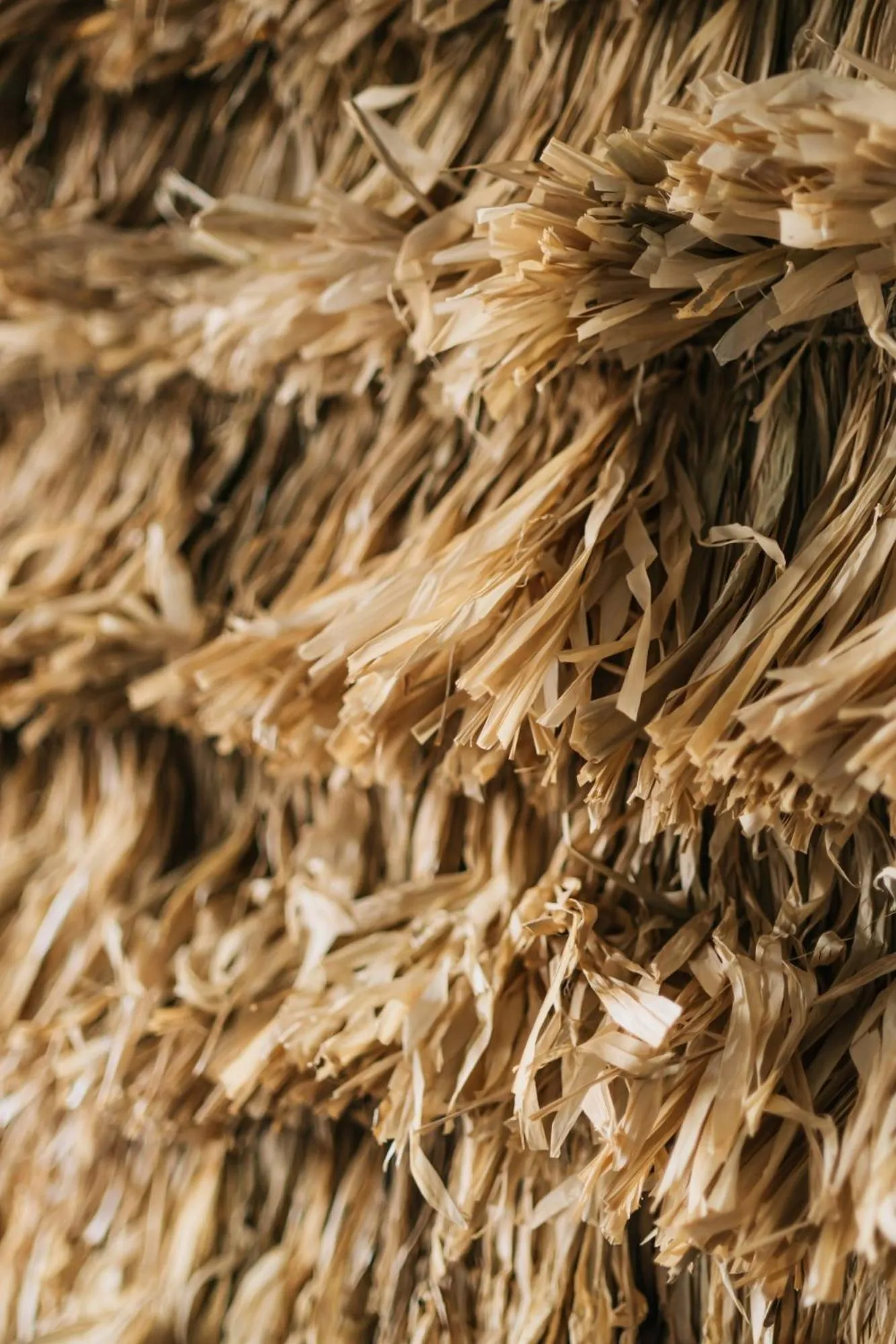 Other in Bestah Coliving