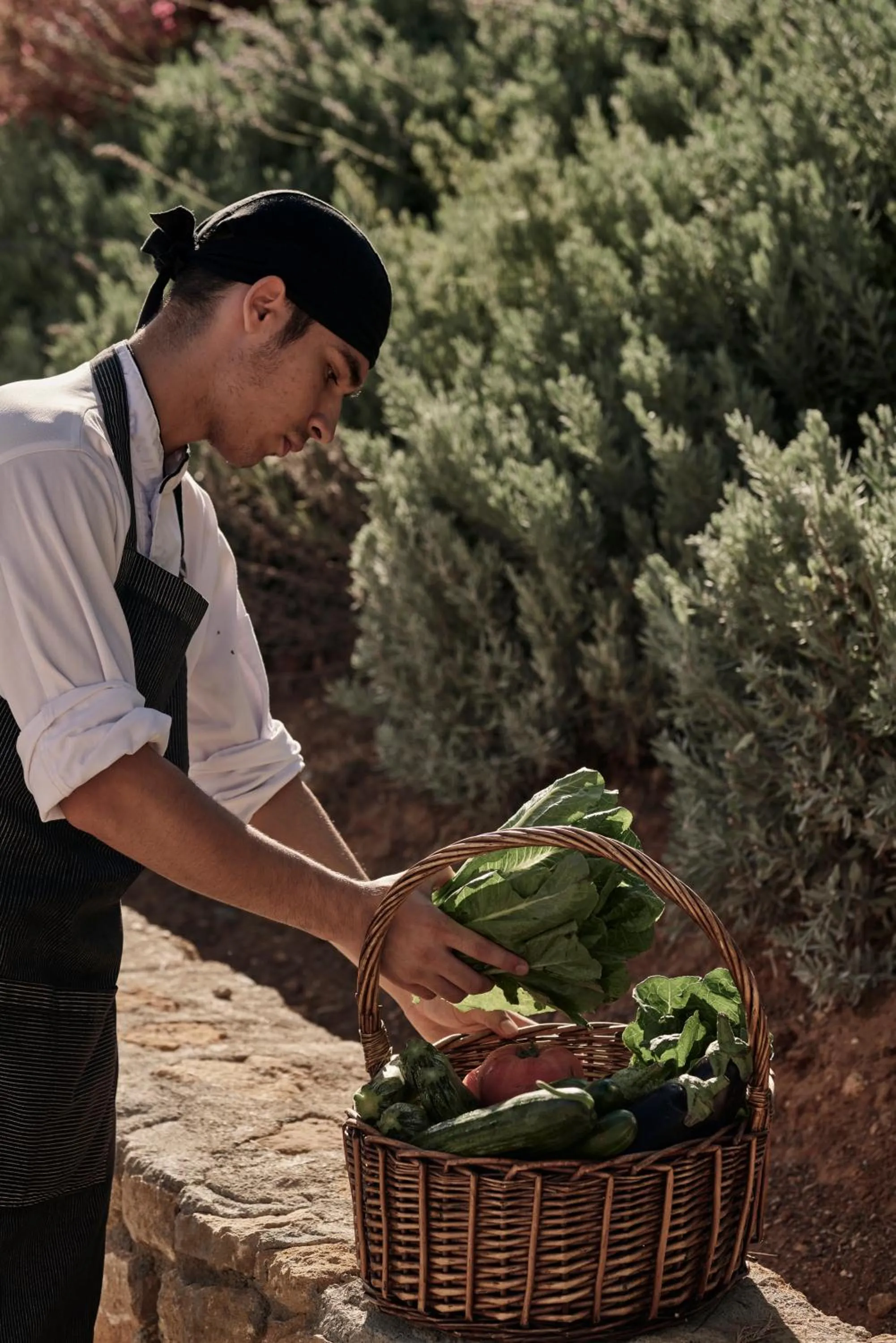 Staff in Celestial All Suites