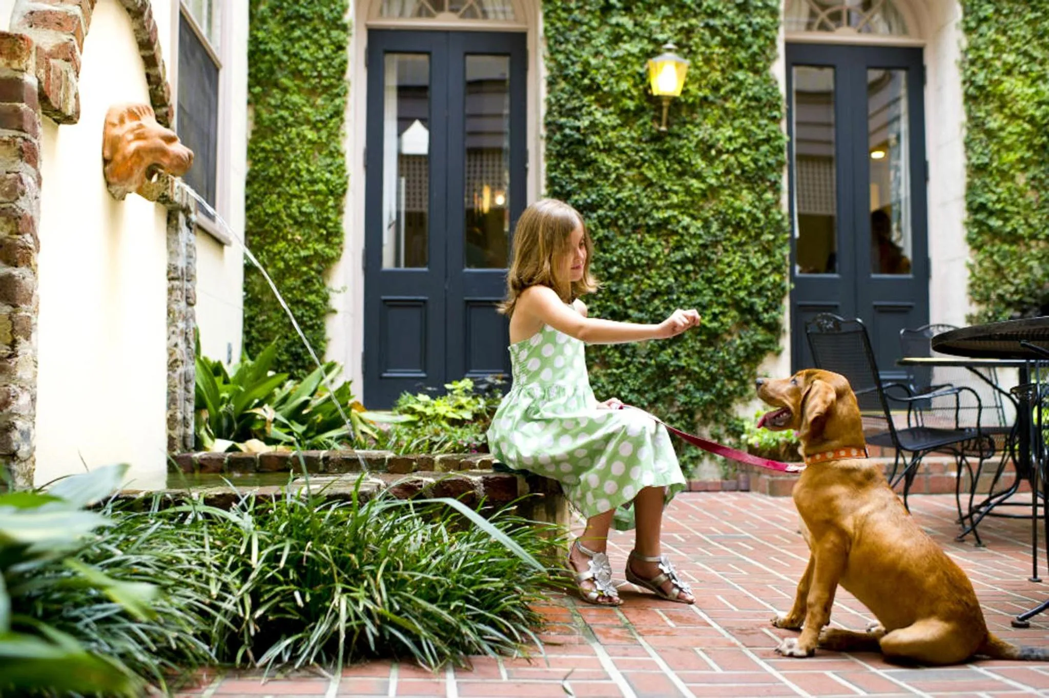 Pets in Kings Courtyard Inn