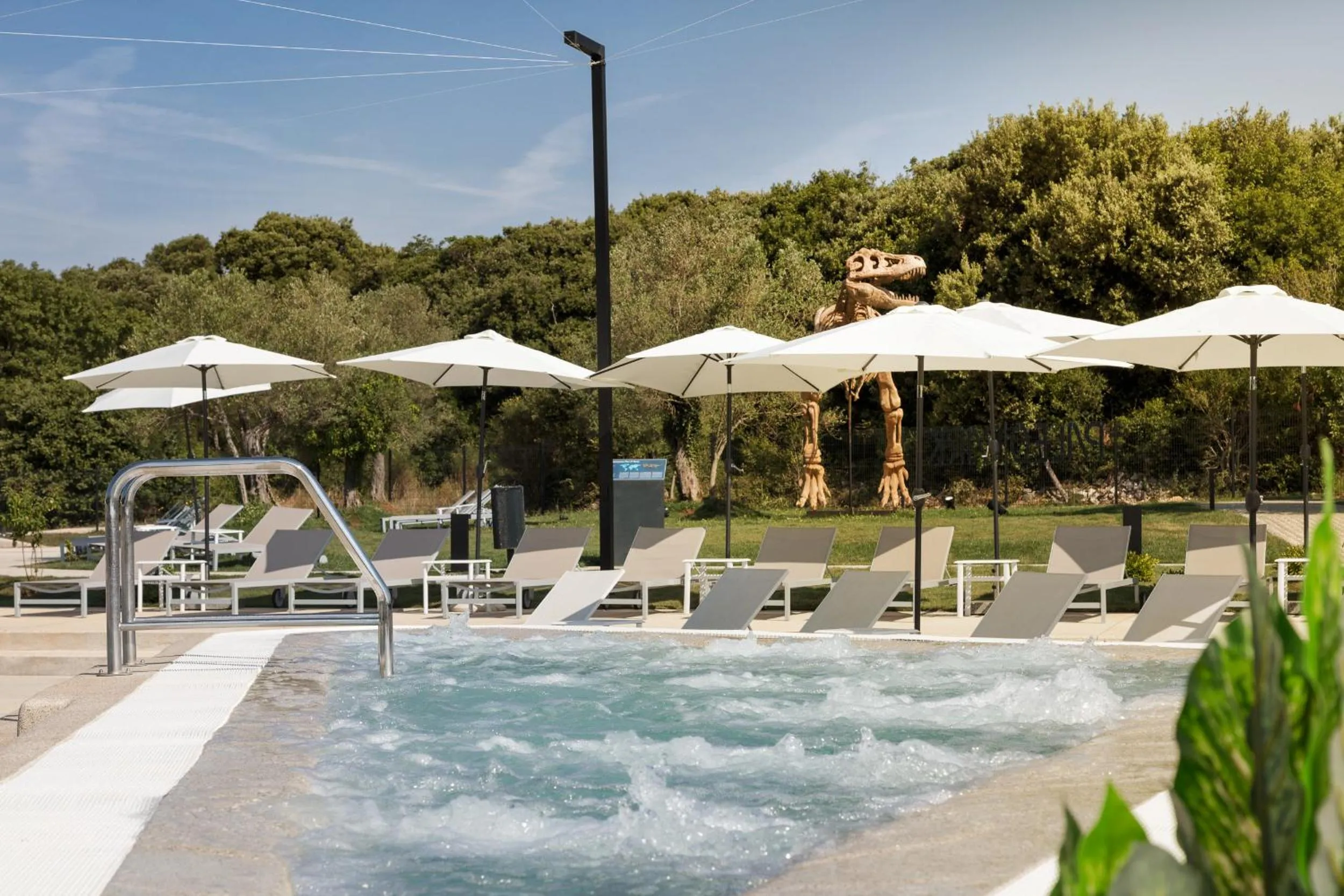 Day in Luxury Glamping Beach Villas Porto Bus