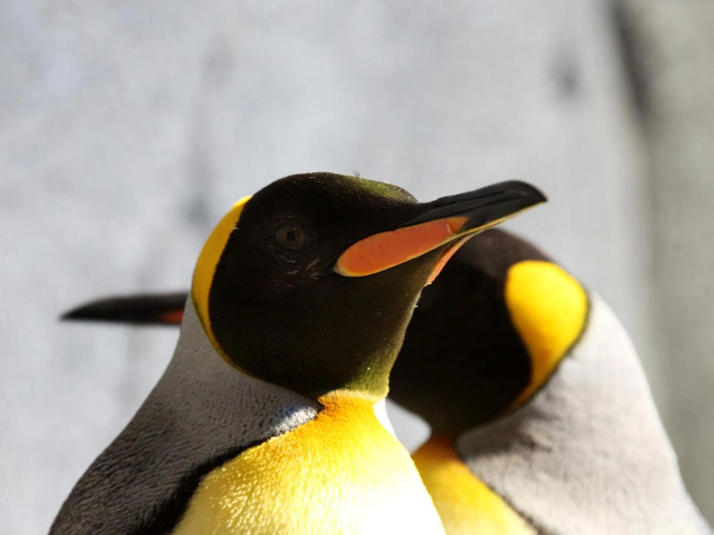 Neighbourhood in Park-Hotel Hagenbeck