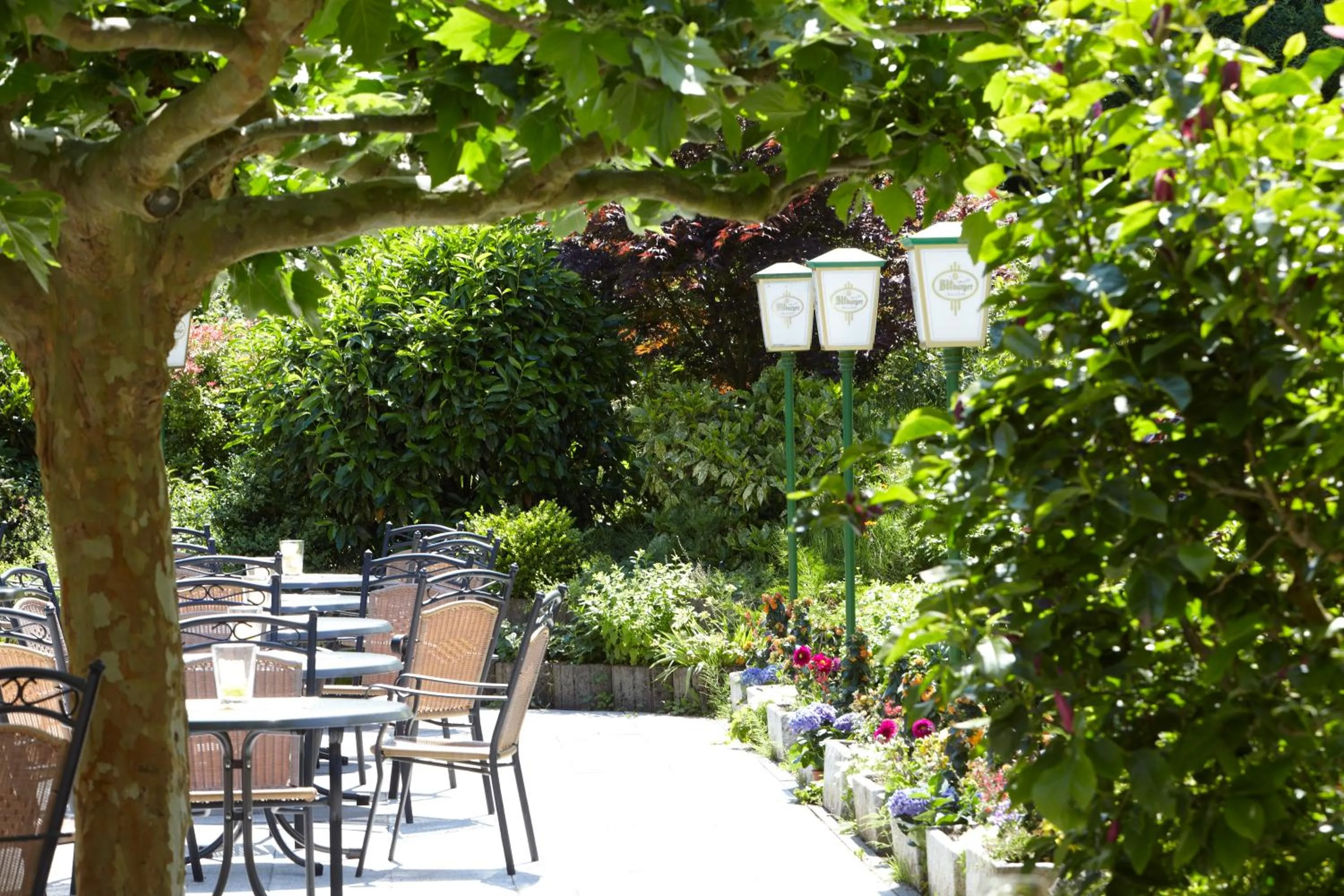 Garden in Waldhotel Kurfürst