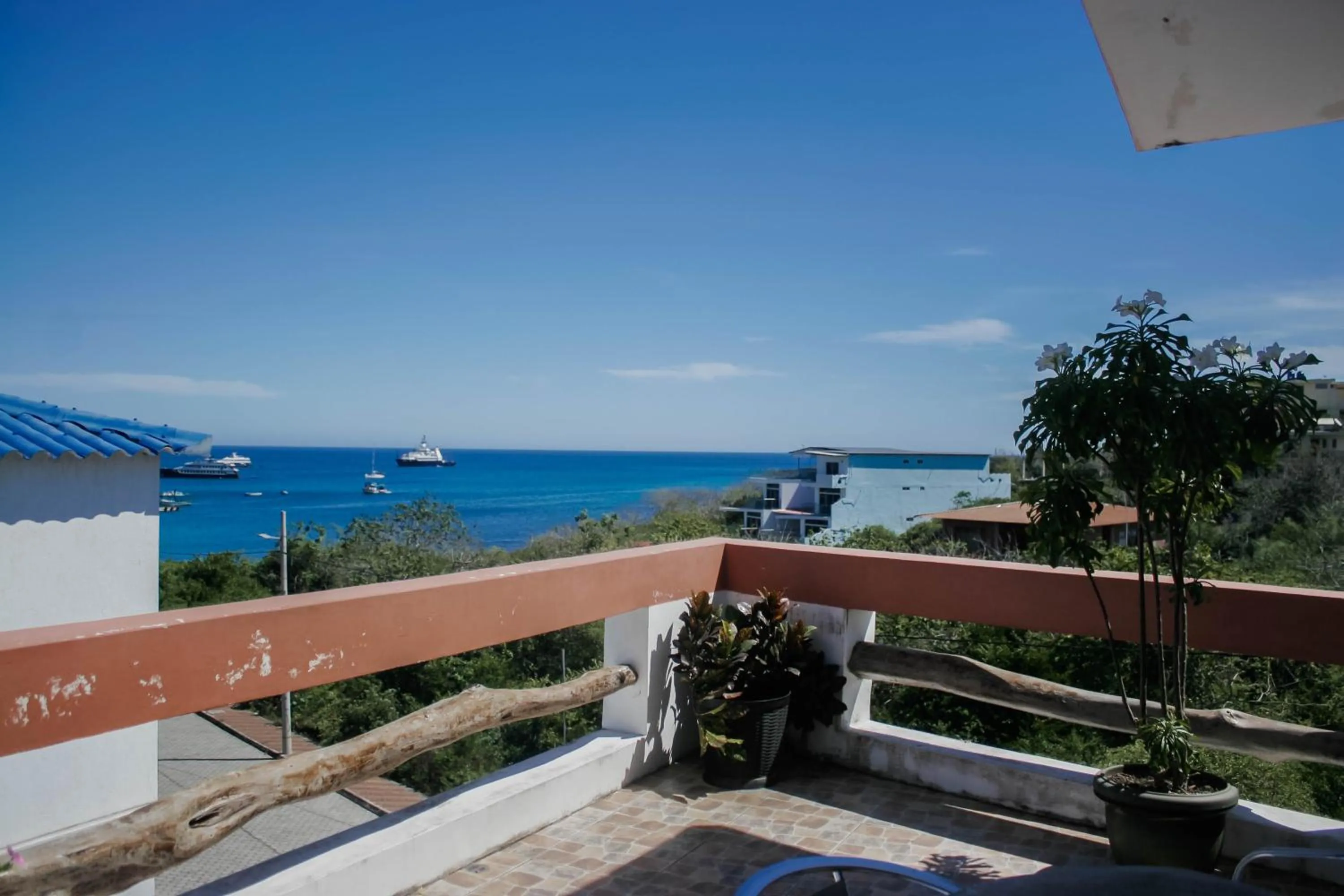 Day in Casa de Nelly