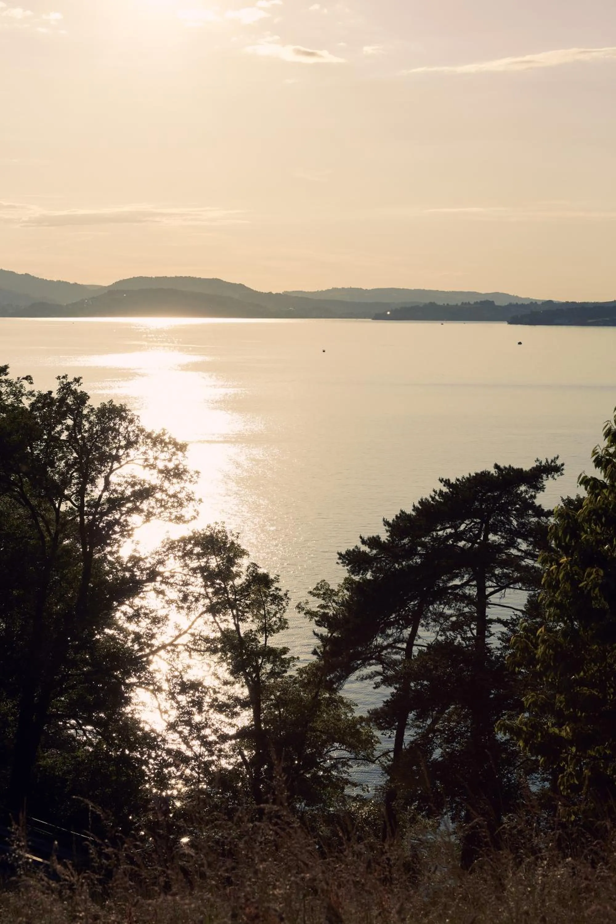 View (from property/room) in See- und Seminarhotel FloraAlpina Vitznau