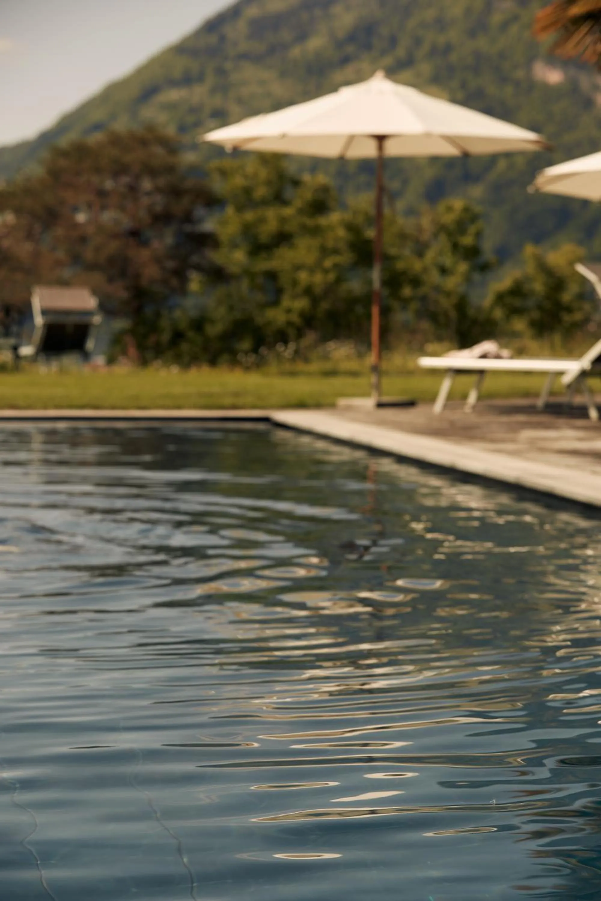 Natural landscape in See- und Seminarhotel FloraAlpina Vitznau