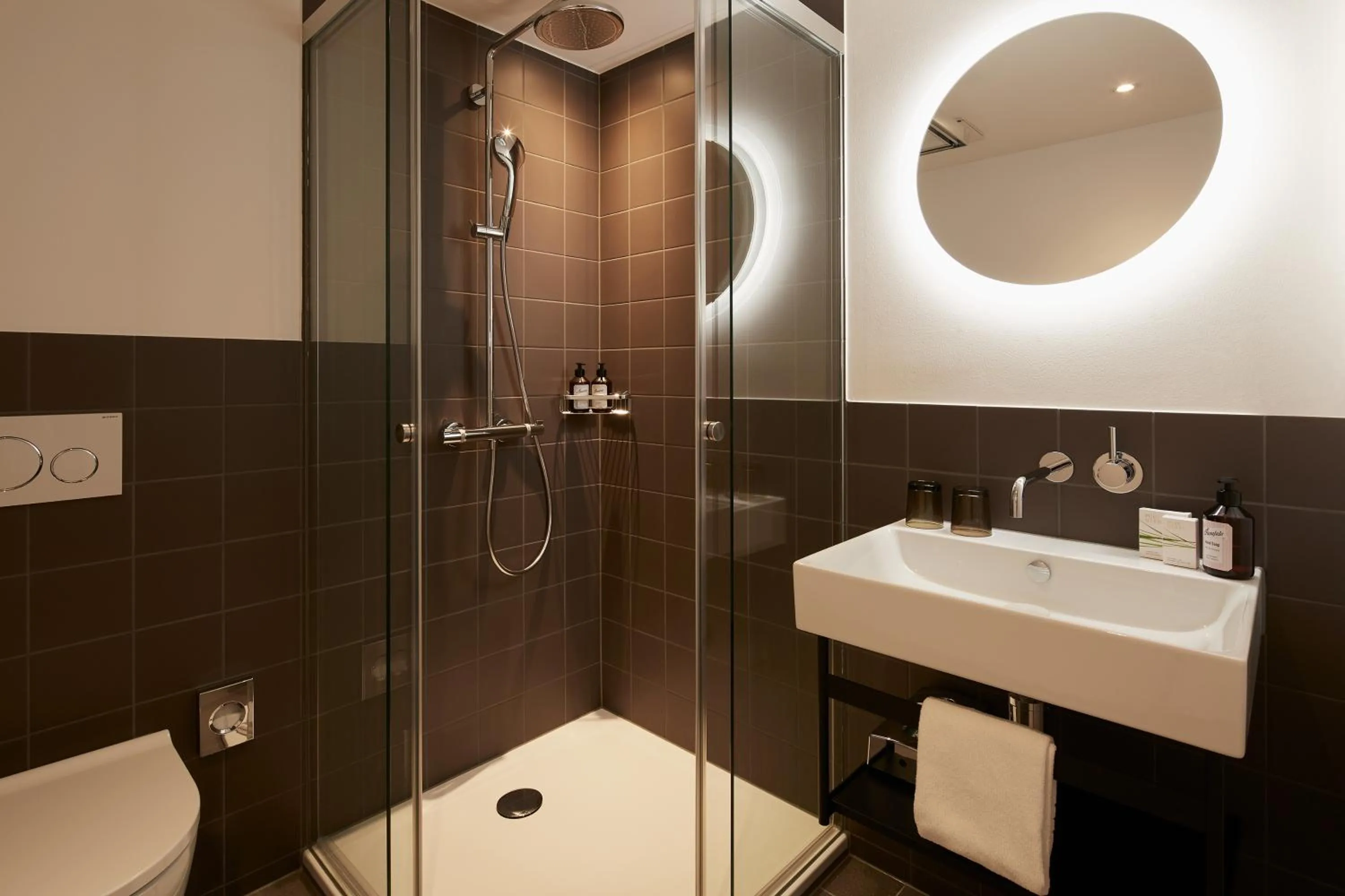 Shower in See- und Seminarhotel FloraAlpina Vitznau