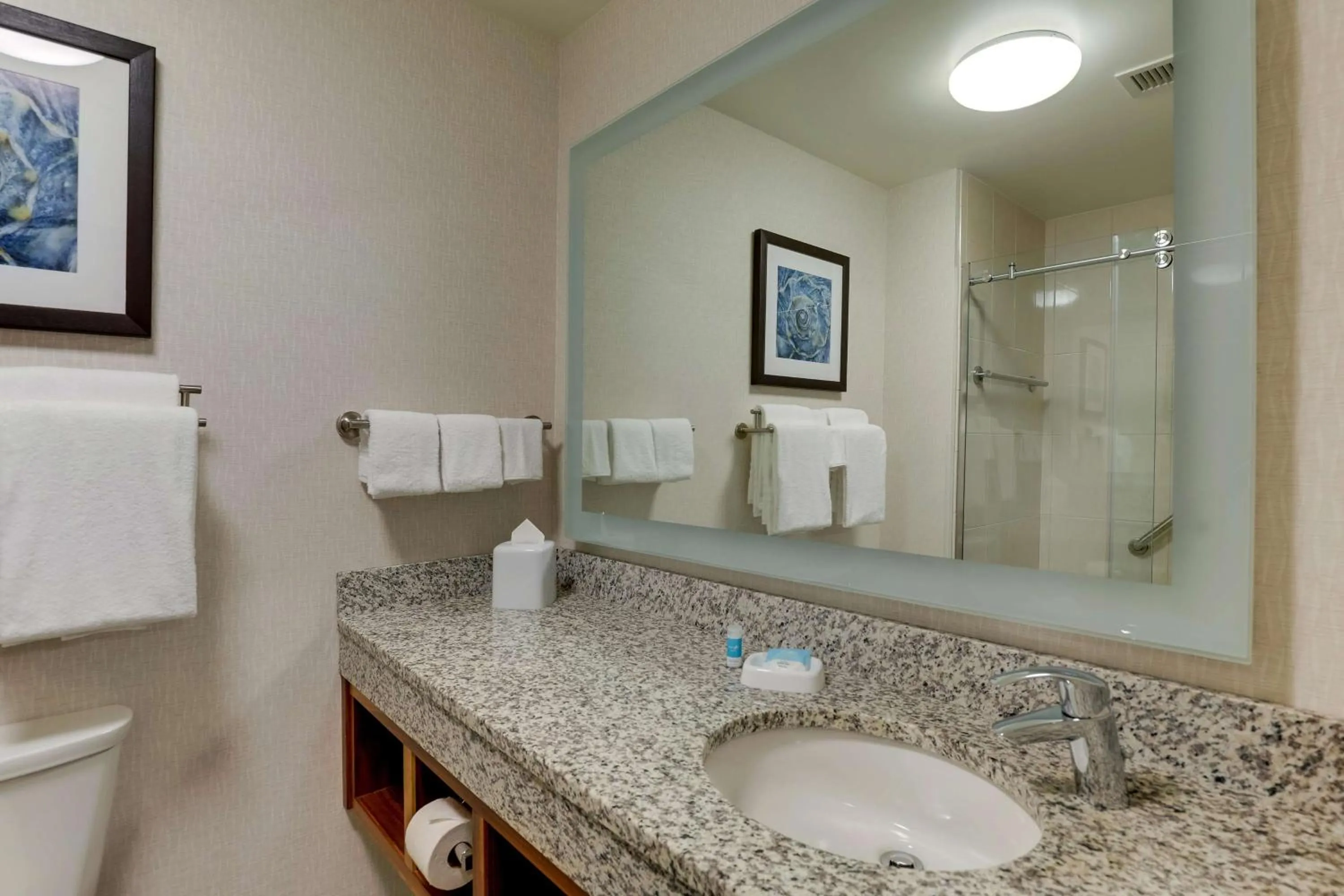 Bathroom in Drury Plaza Hotel Orlando - Disney Springs Area