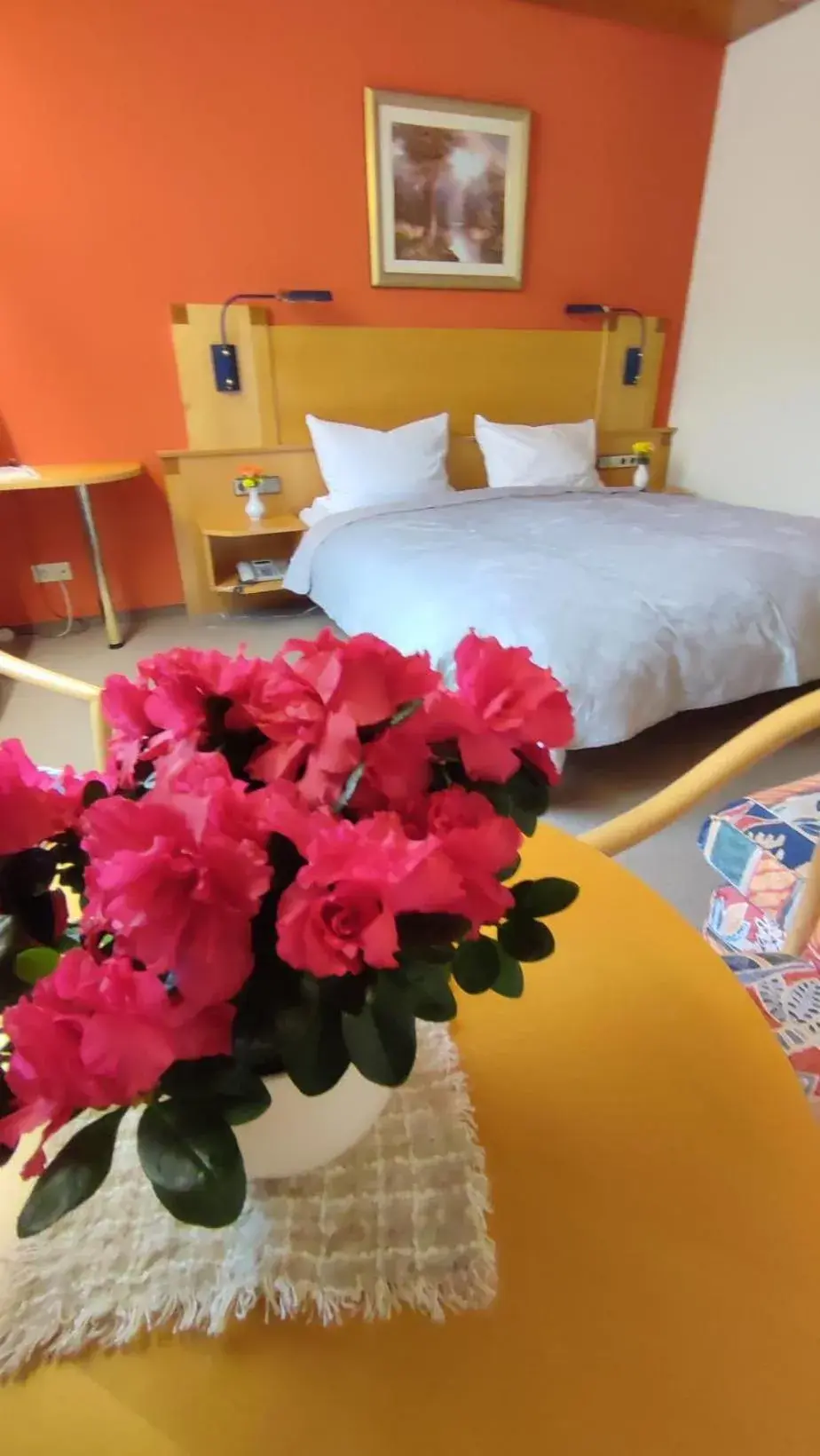 Double Room in Hotel Freihof Double Room in Hotel Freihof