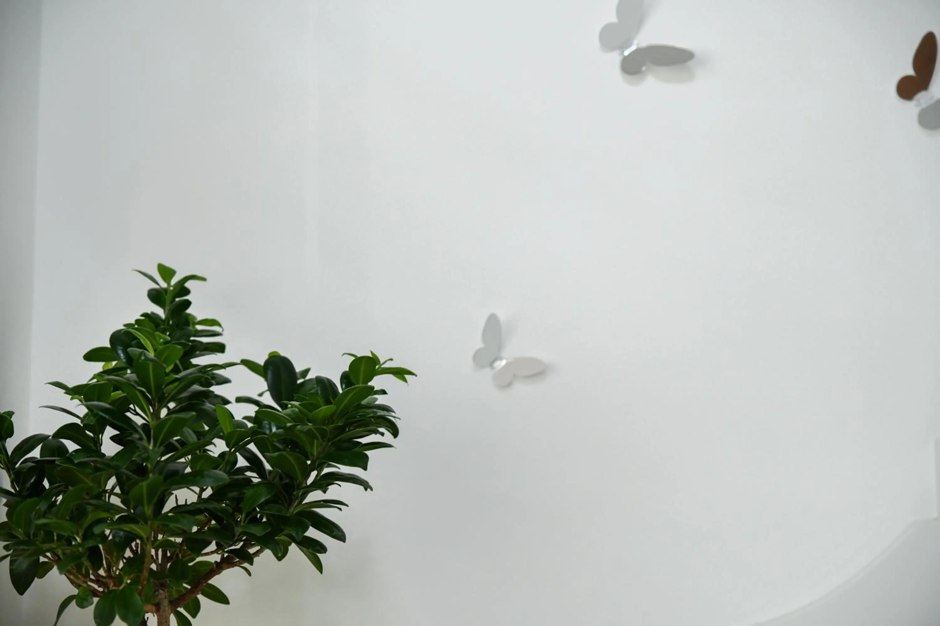 Property building in ATHENA