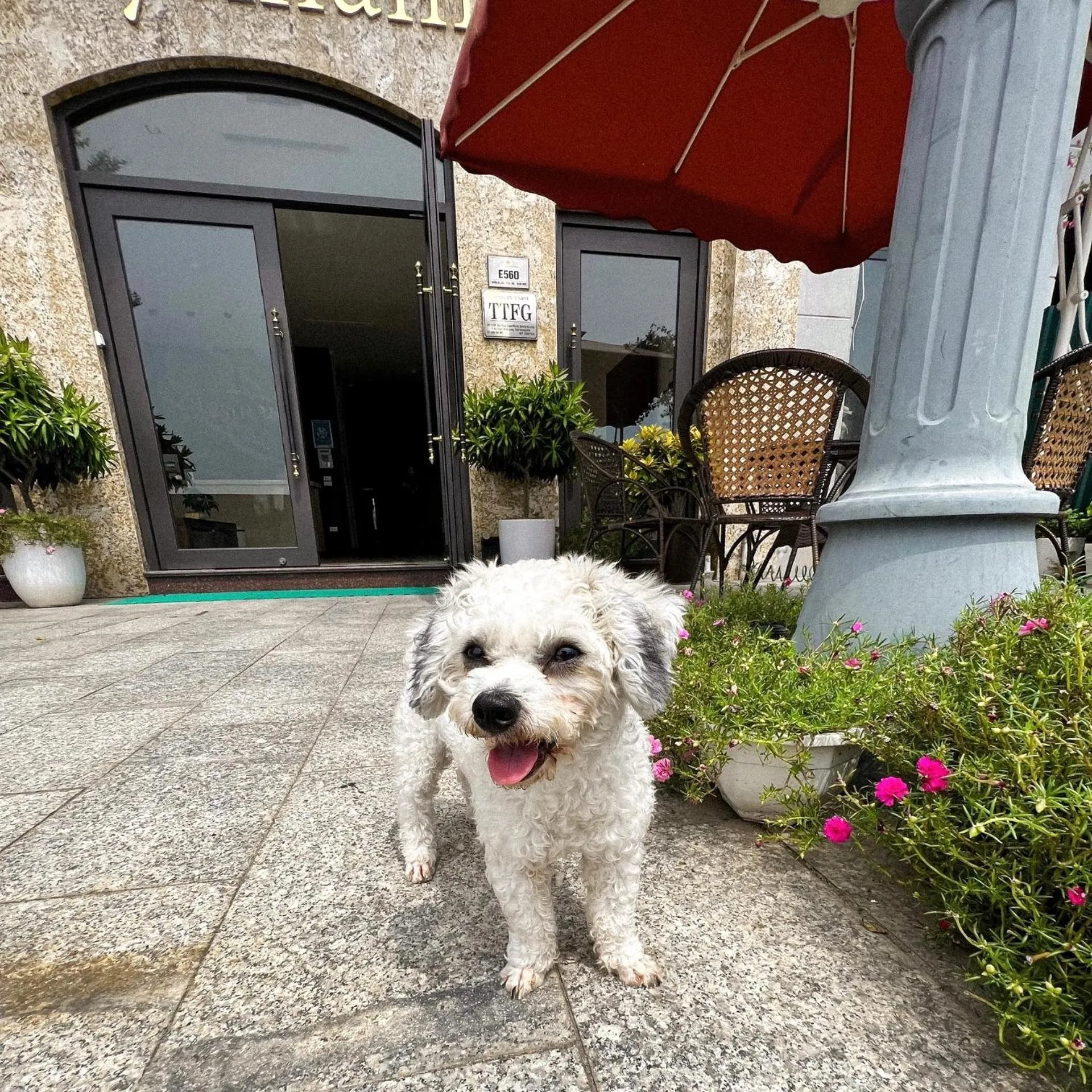 Garden in Elysinam Boutique Hotel Ha Long