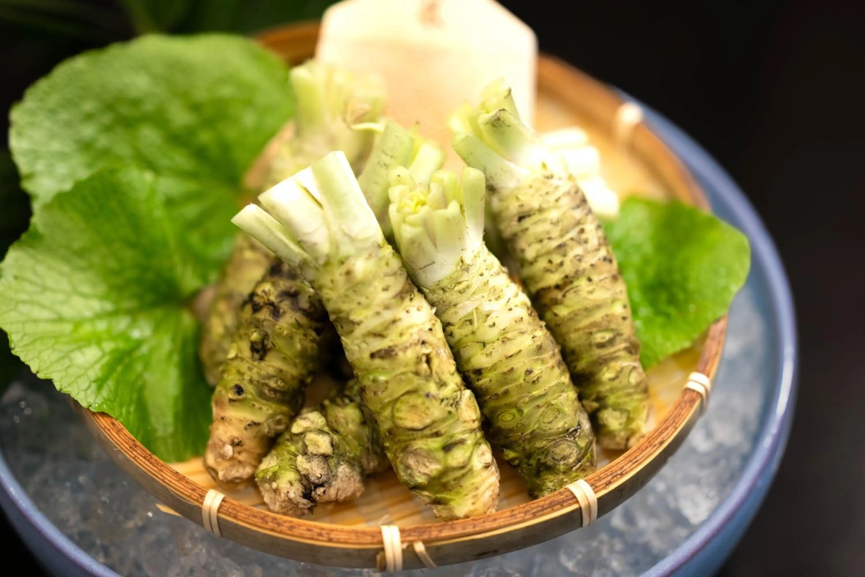 Dinner in 伊豆高原温泉ホテル 森の泉