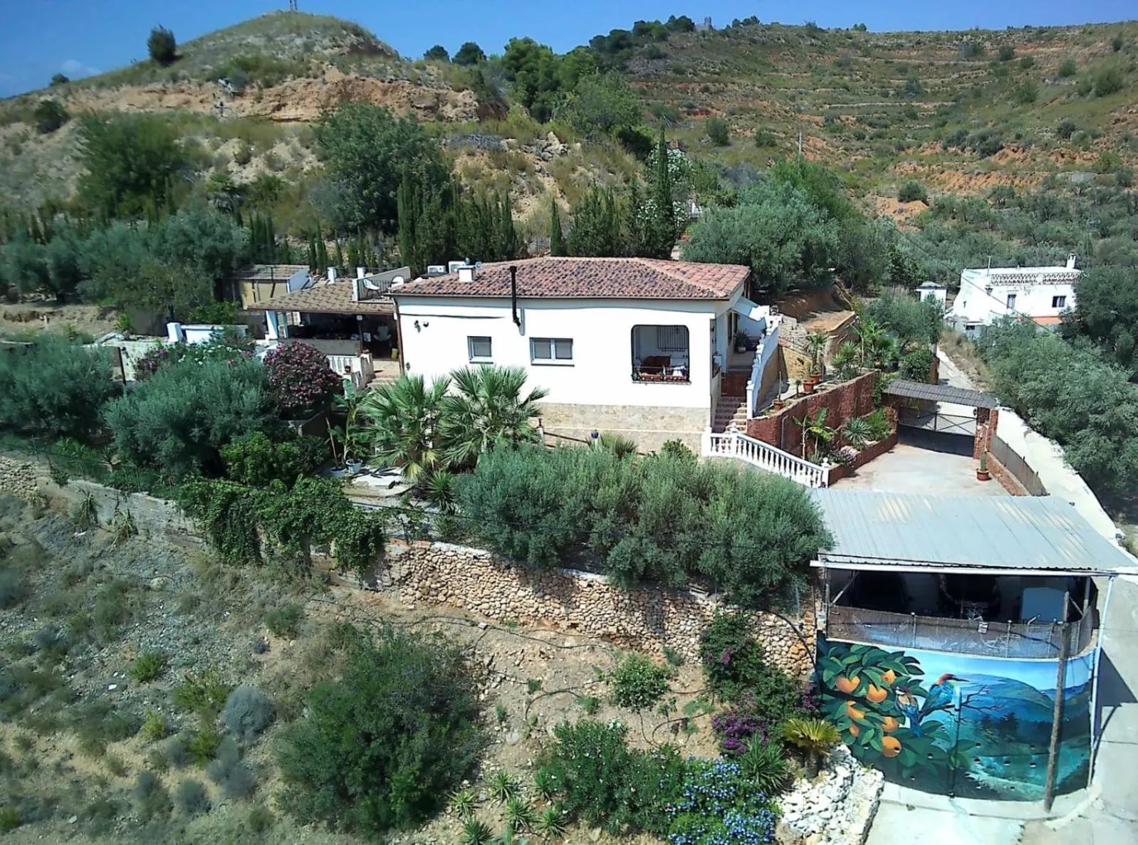 Natural landscape in Casa Rural Buenavista Pedralba