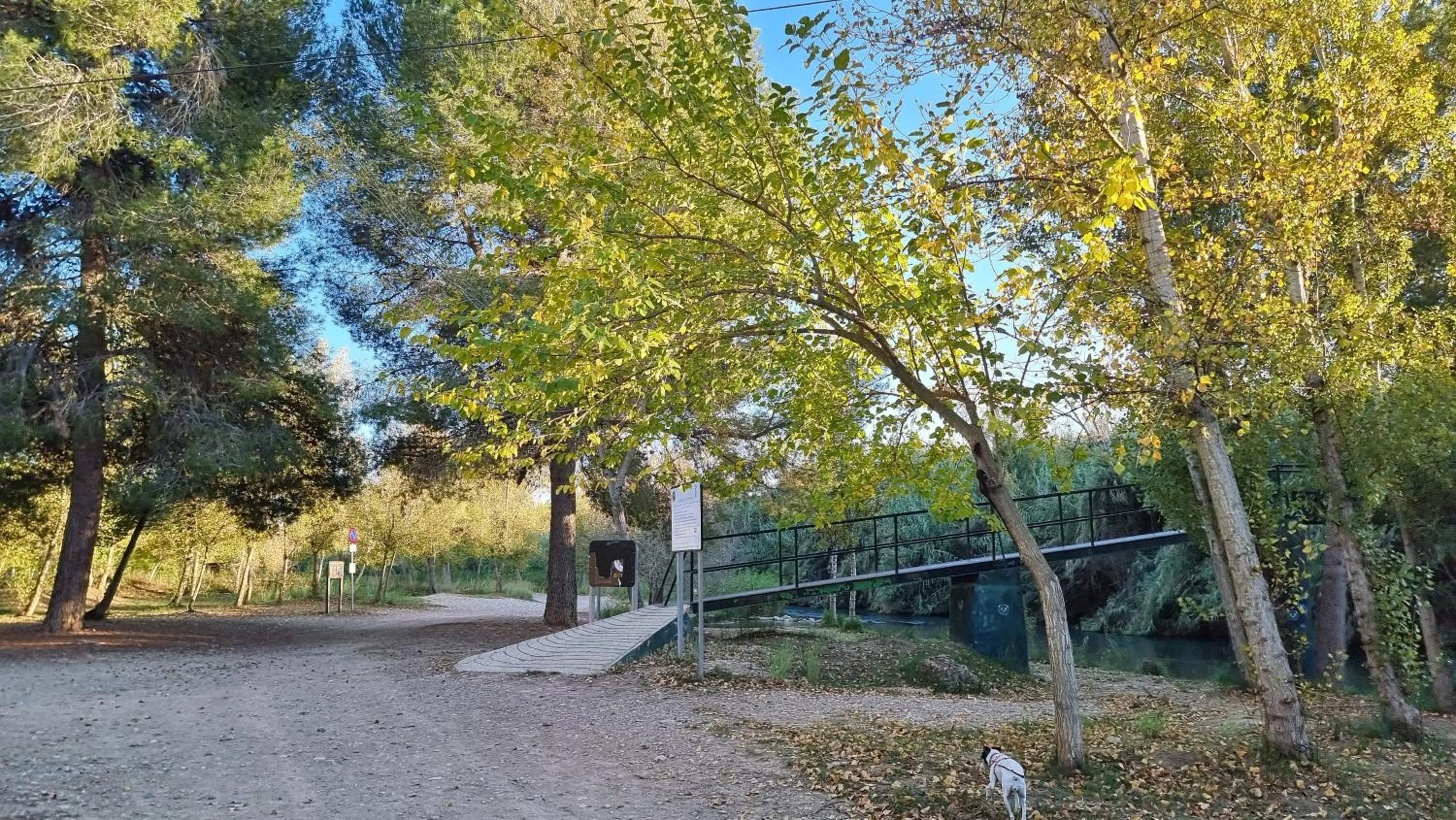 Natural landscape in Casa Rural Buenavista Pedralba