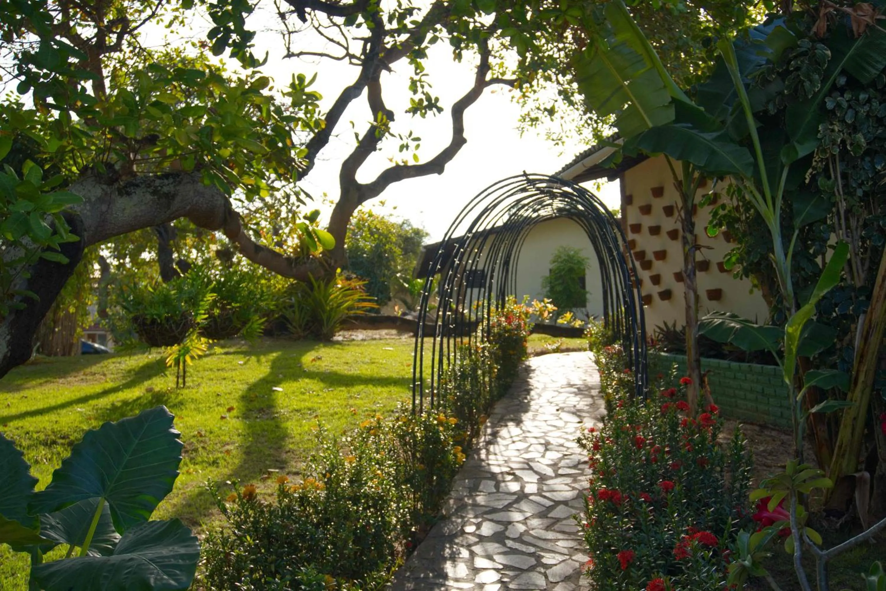 Garden in Pousada Sol e Luna