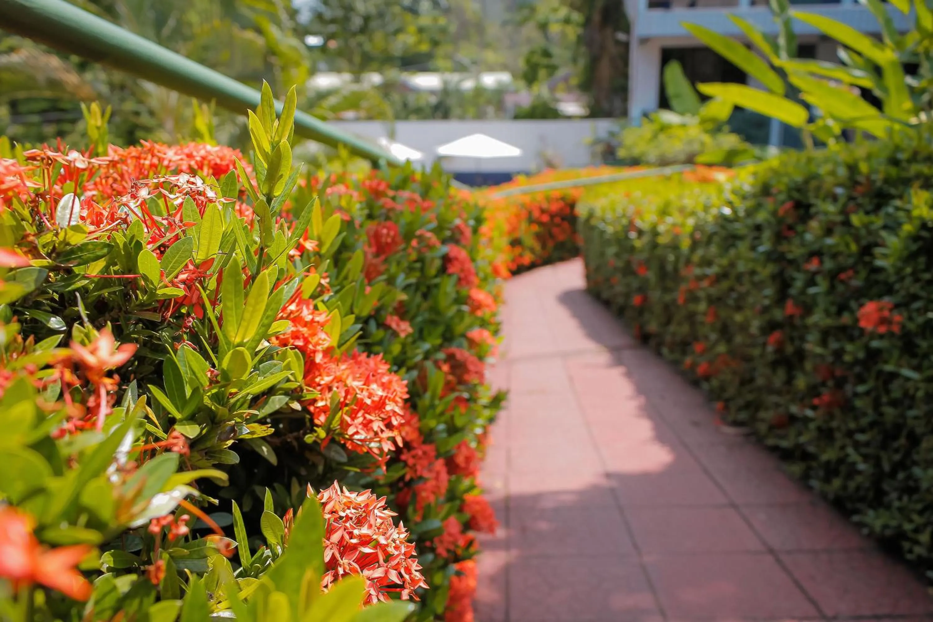 Hotel Divisamar by LHR